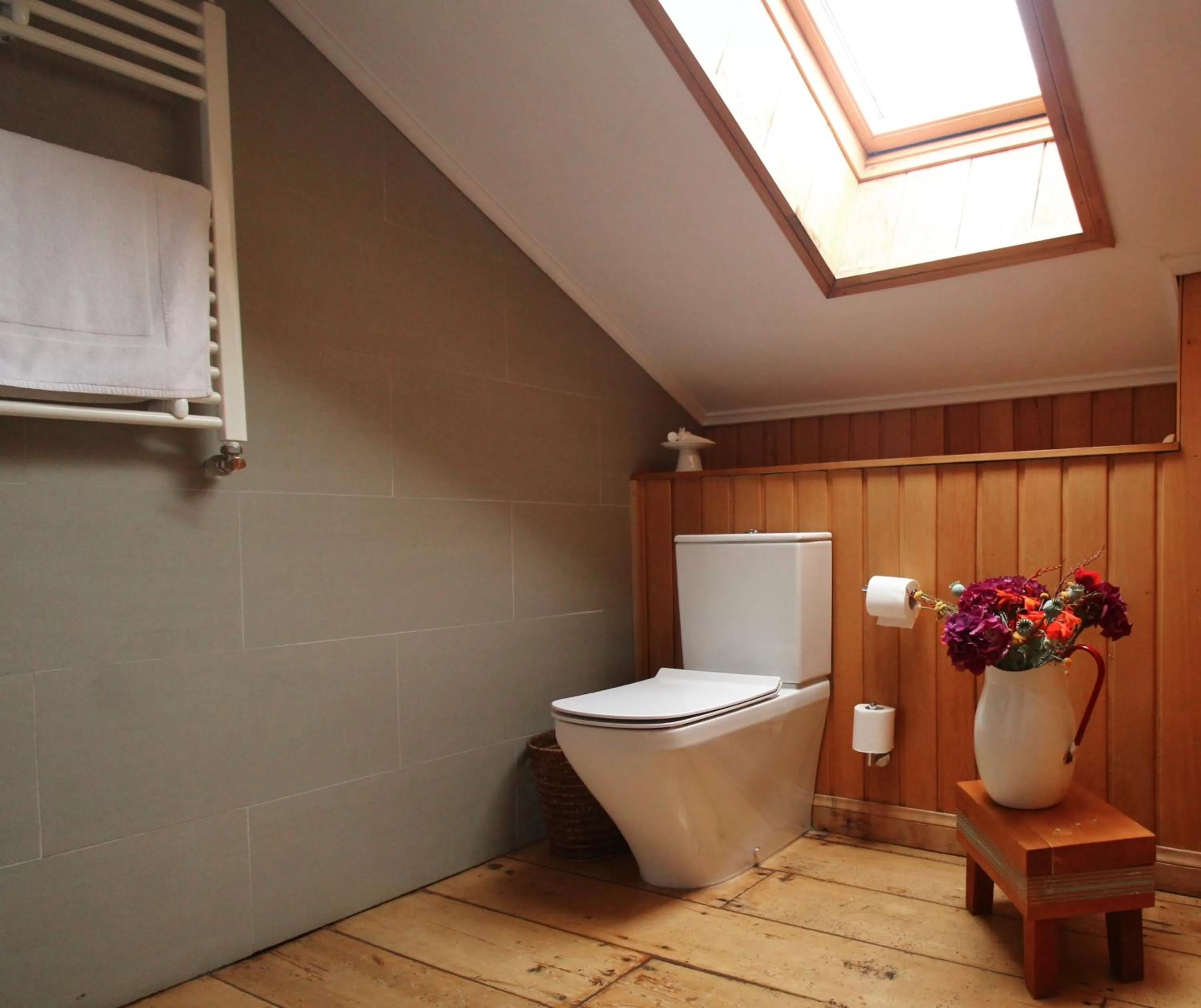 Toilet in Hotel Boutique Casa Werner