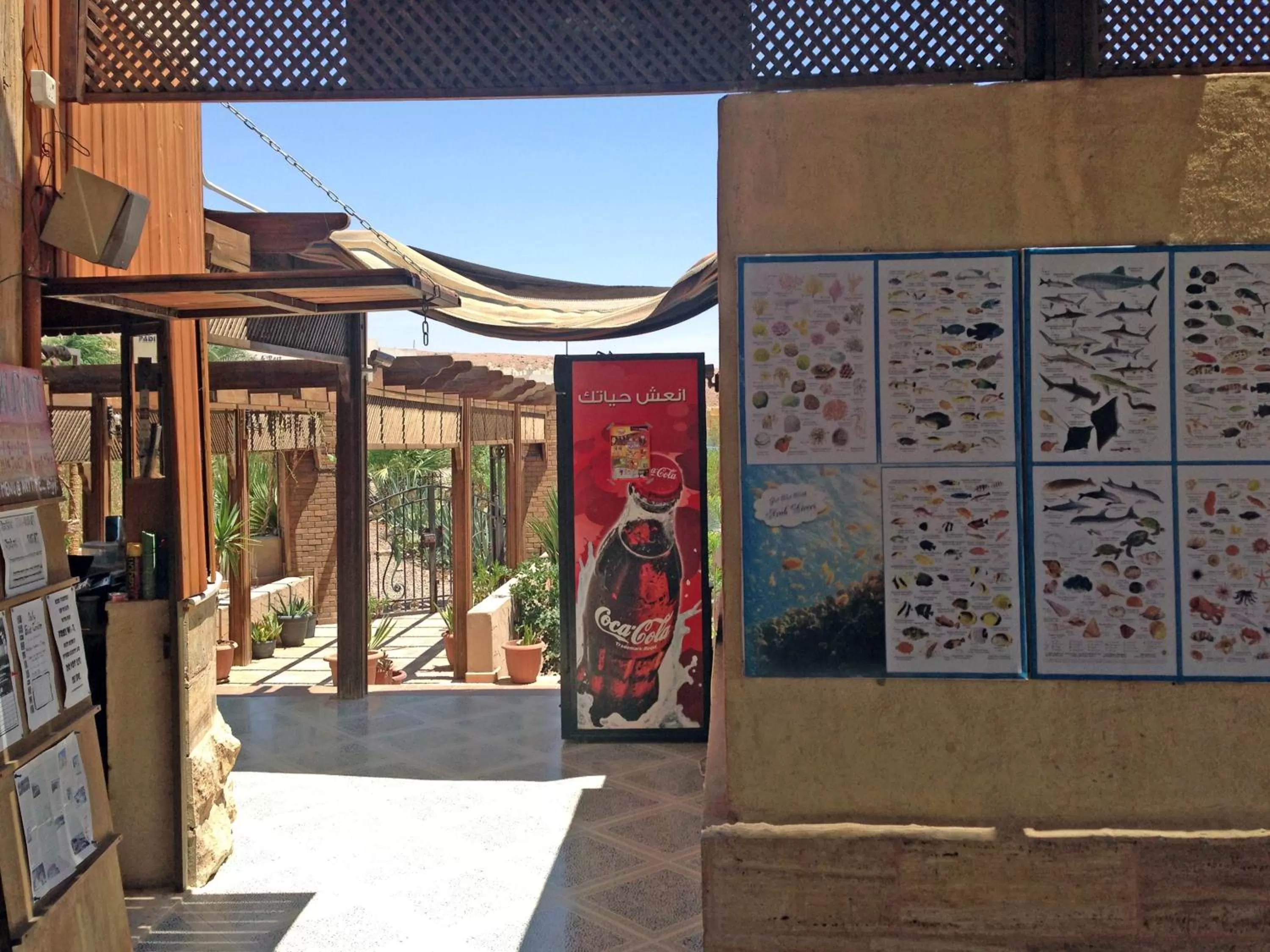 Balcony/Terrace in Arab Divers Dive Center and Bed & Breakfast