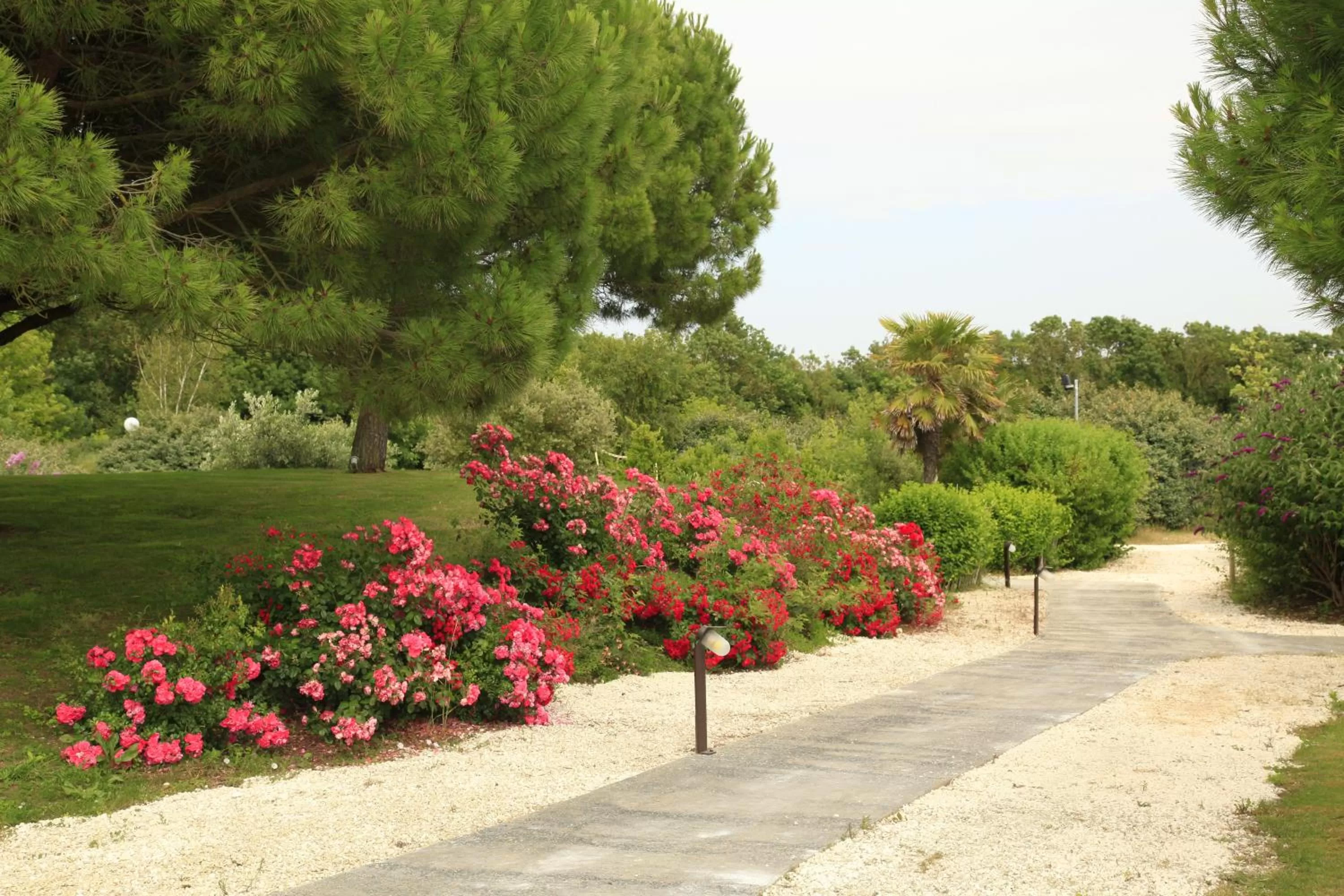 Garden in Côté Océan Resort