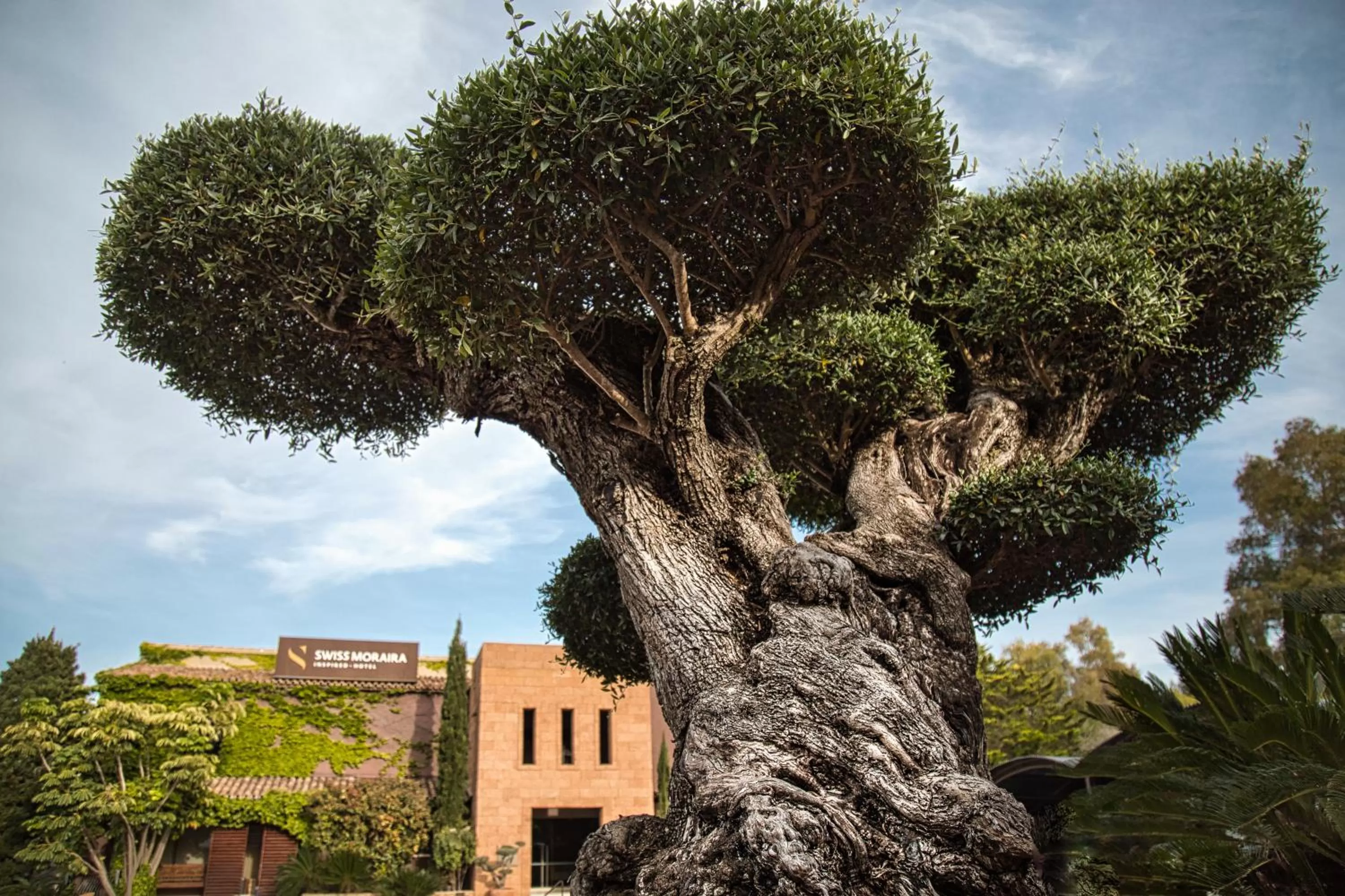 Property building in SWISS MORAIRA HOTEL & SPA - Adults only