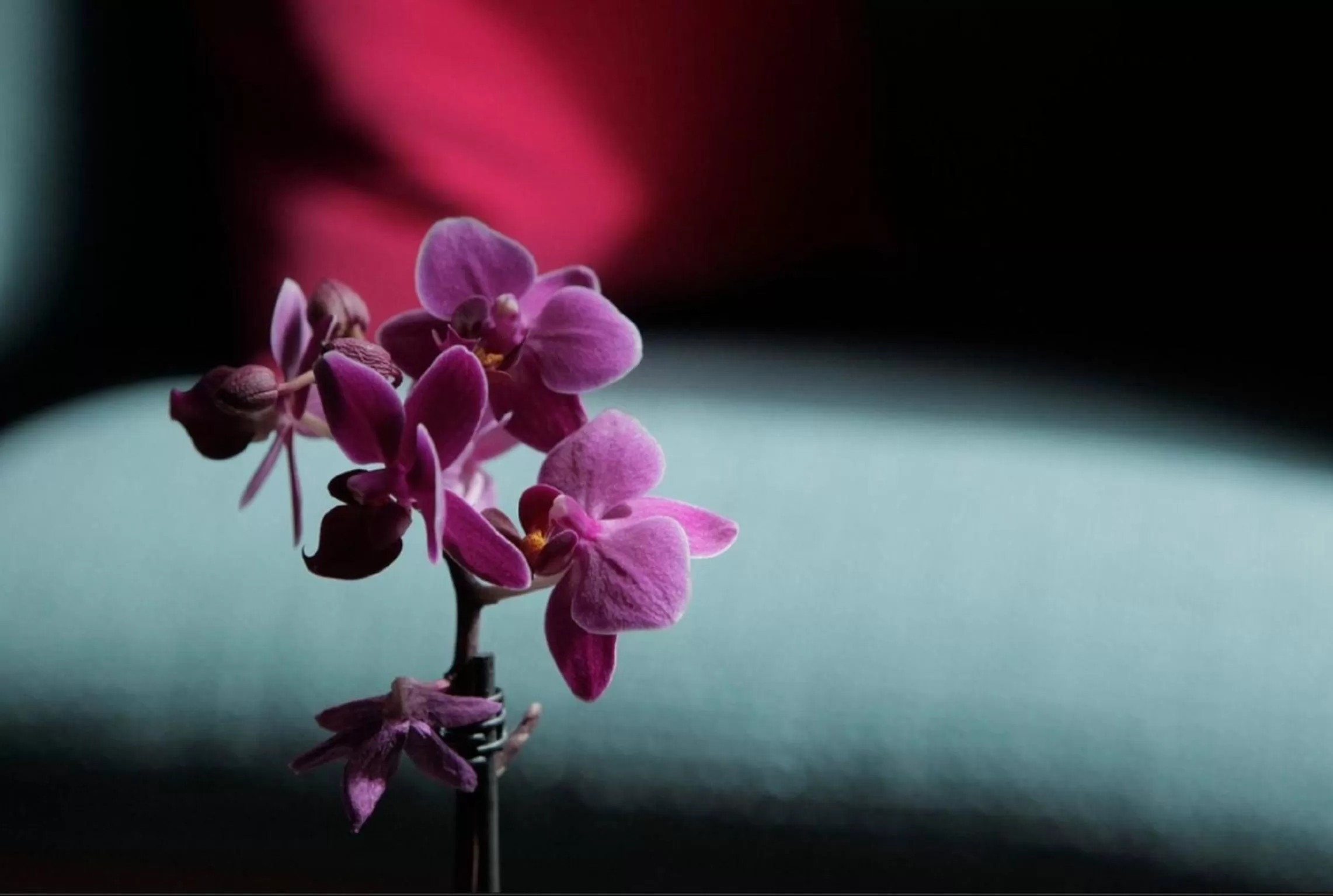 Bedroom in Signature Townhouse London Hyde Park
