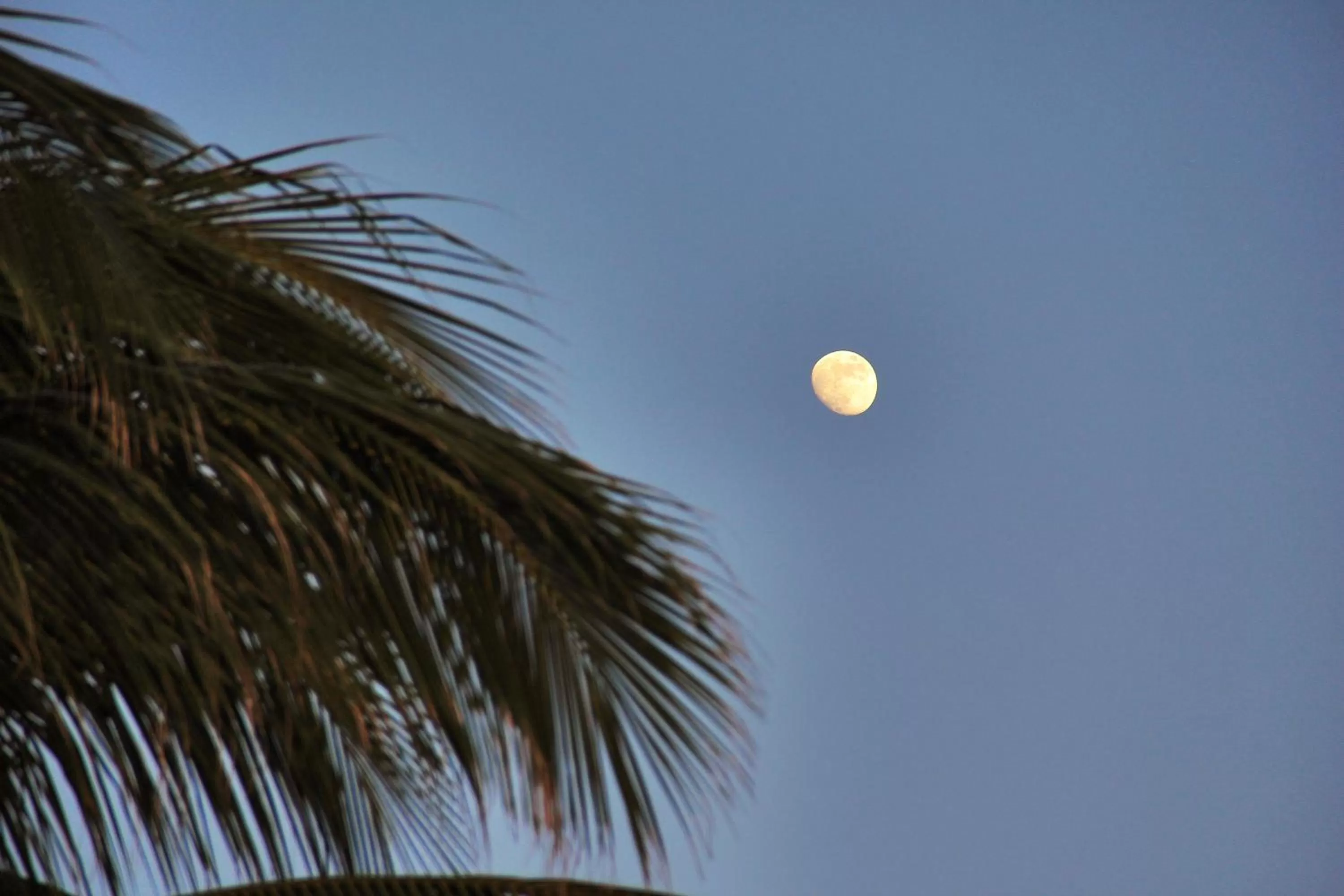 Natural landscape in Hotel Casa Pridda