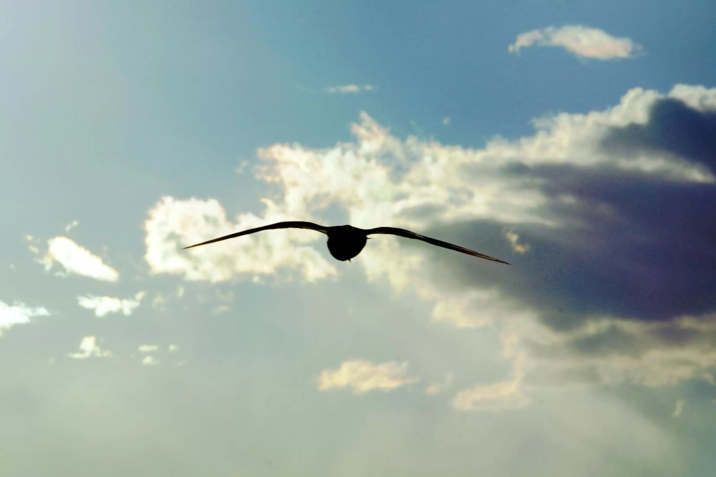 Property building in Rezydencja 5 Dębów