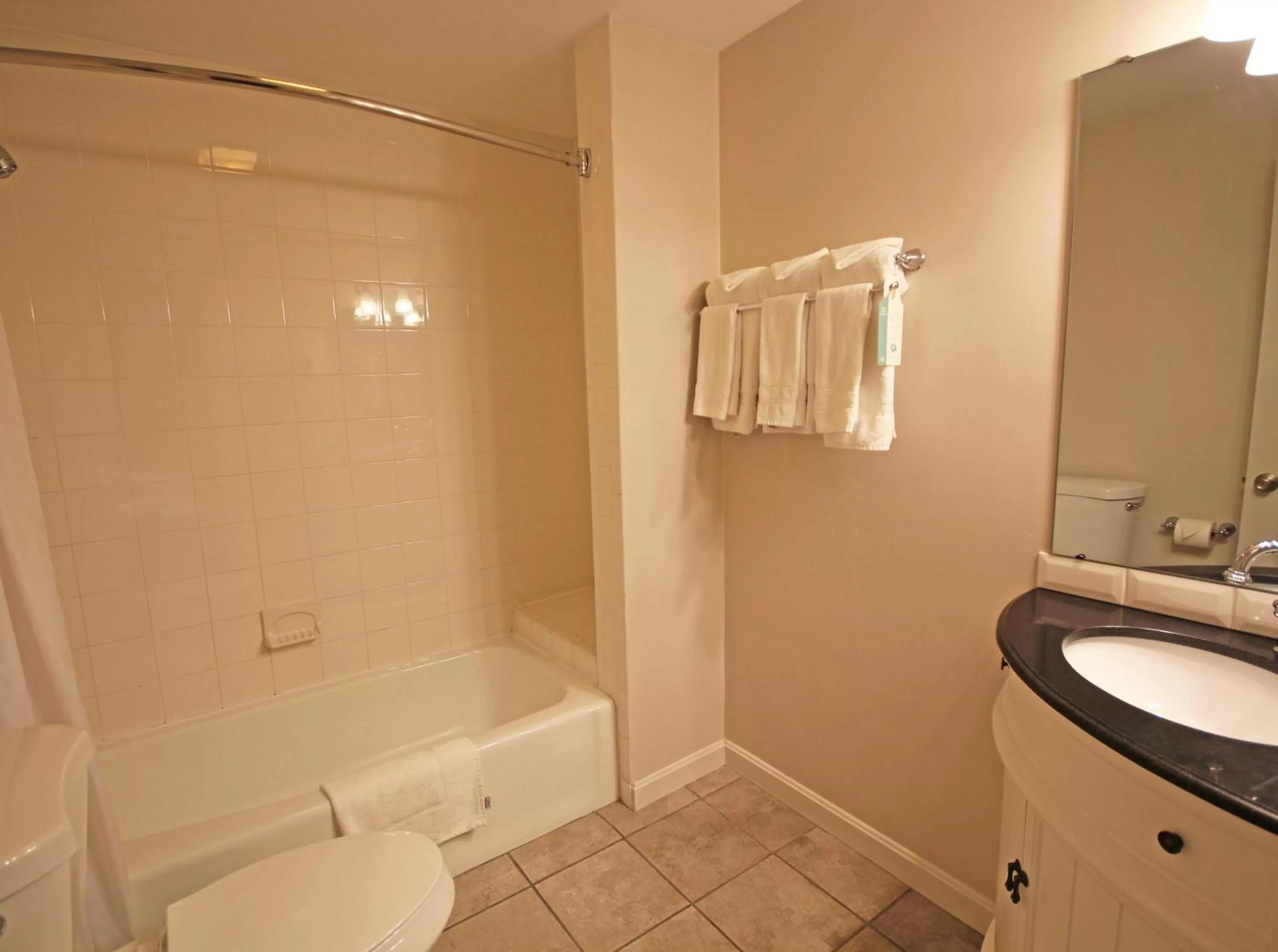 Bathroom in Park View Inn