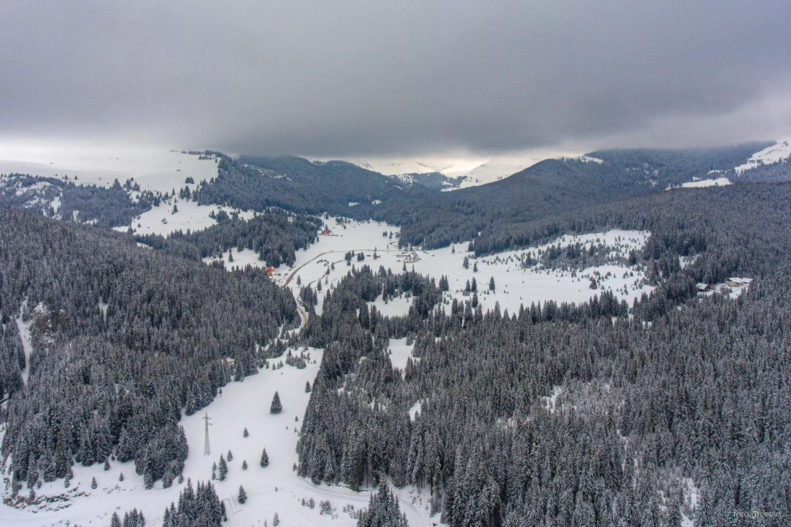 Winter in Hotel Belmont