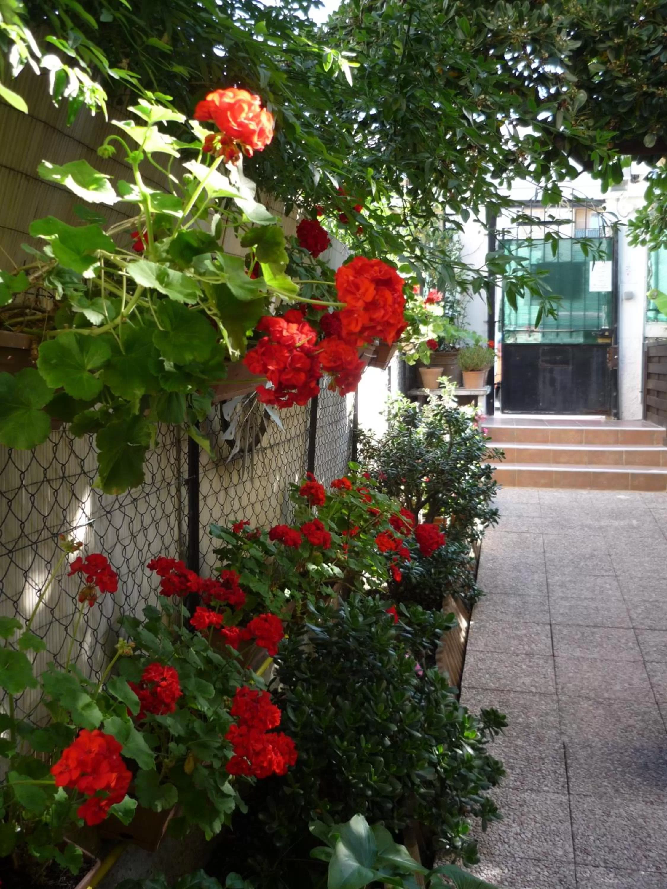 View (from property/room) in Logis Hôtel Villa Victorine