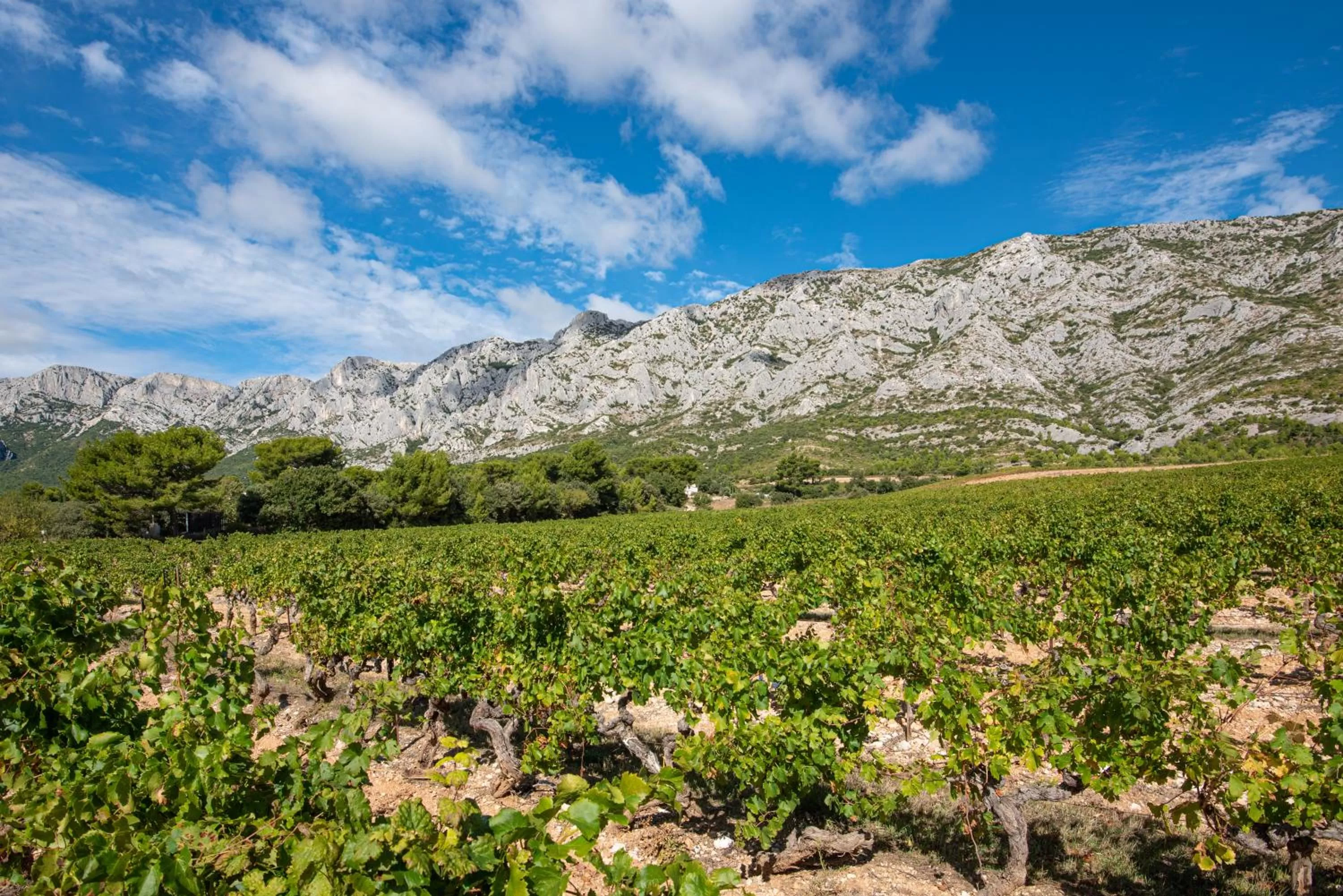 Nearby landmark in Comfort Aparthotel Aix Le Tholonet