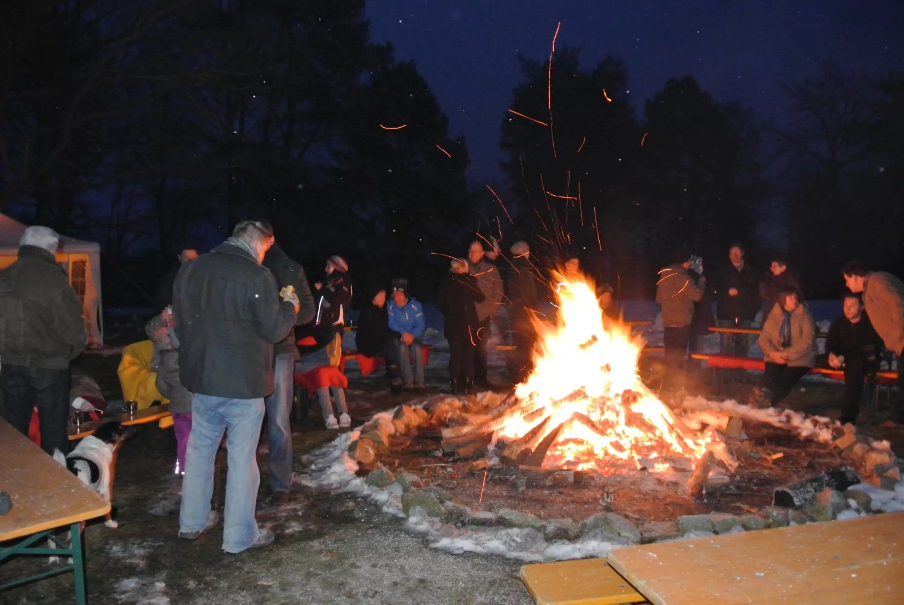 Area and facilities in Seehotel Lindenhof