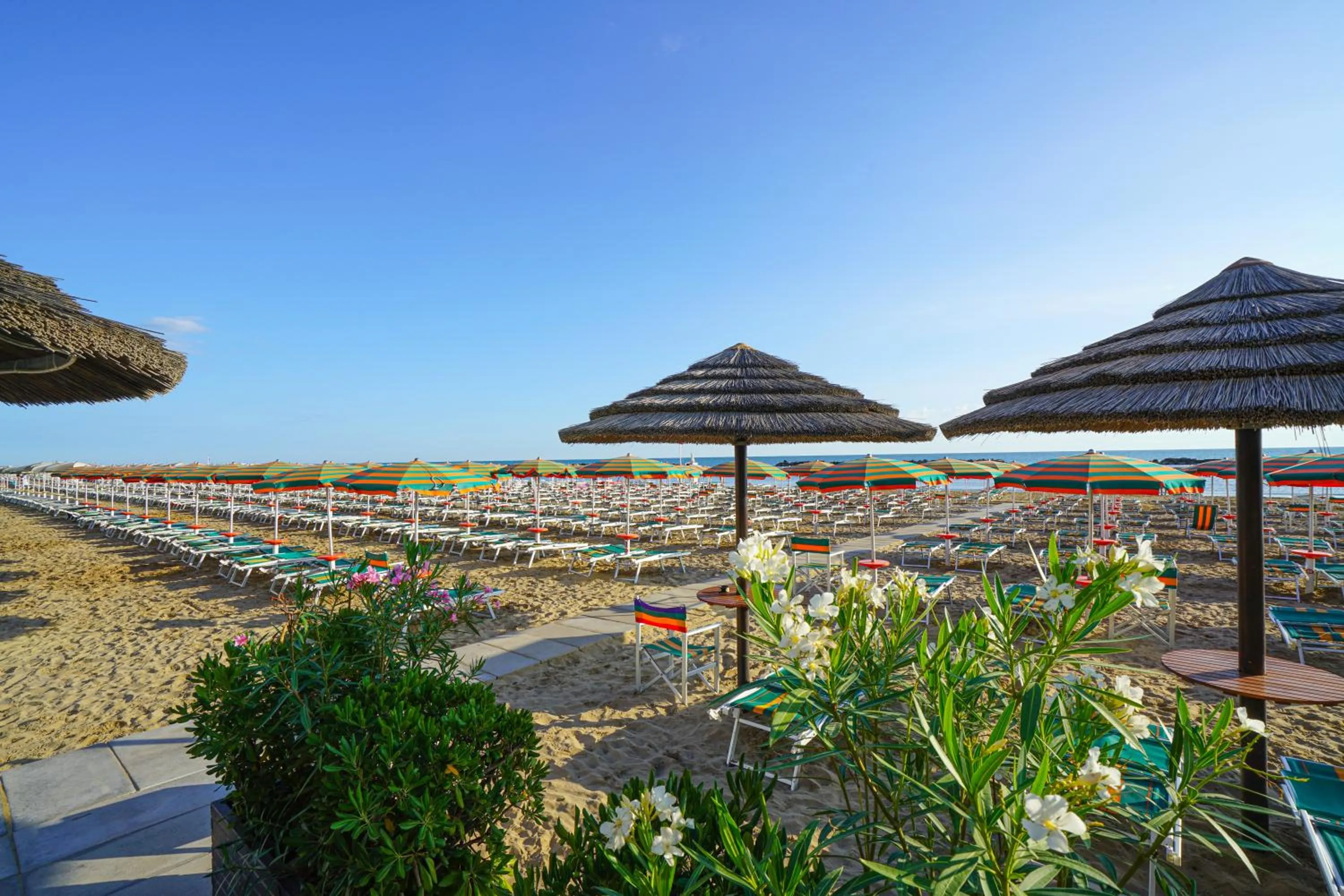 Beach in Nautilus Family Hotel