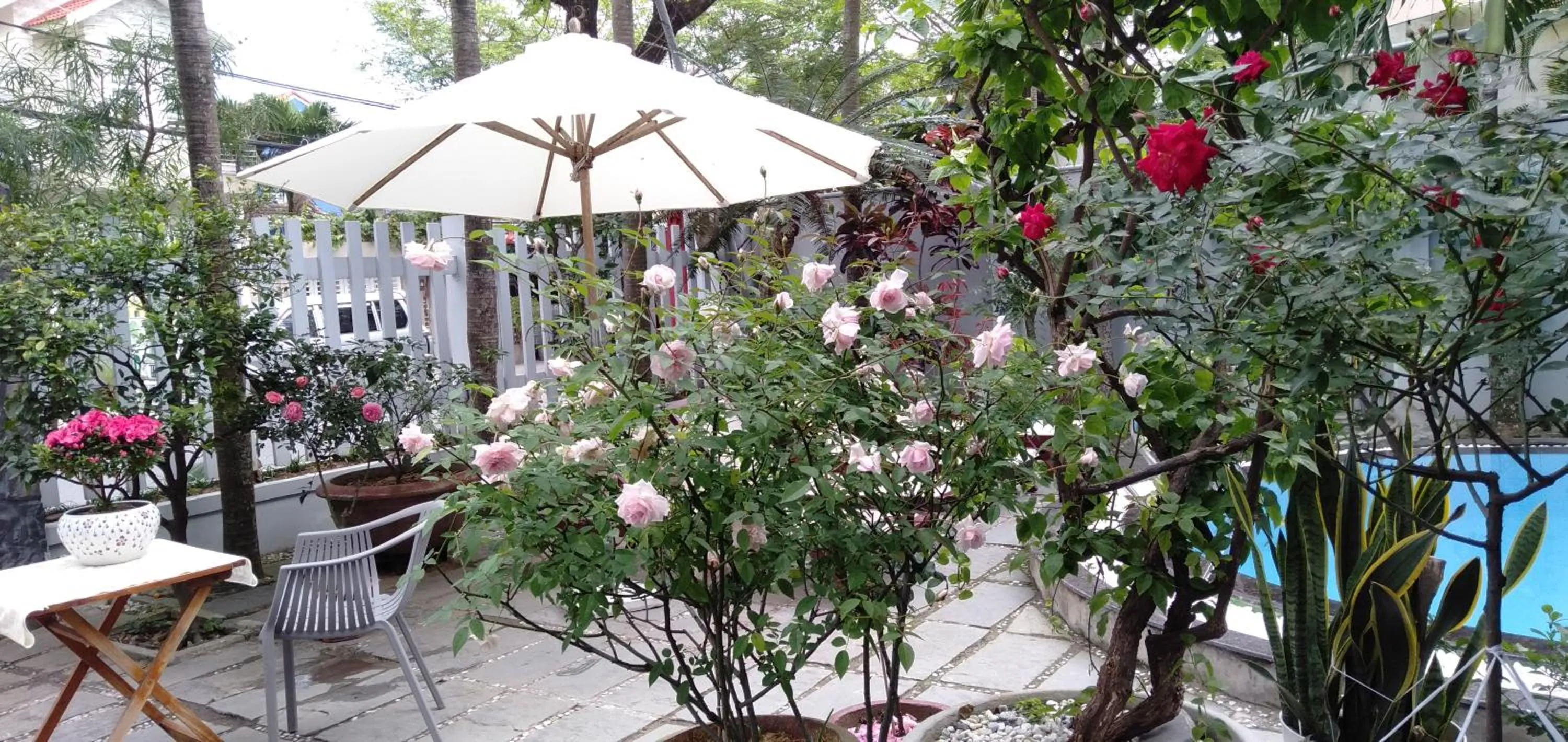 Garden in The Moon Villa Hoi An