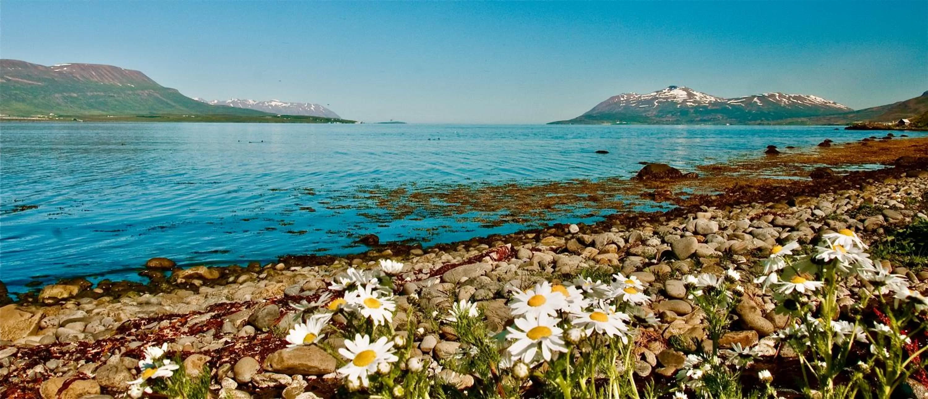 Natural landscape in Hotel Natur Akureyri
