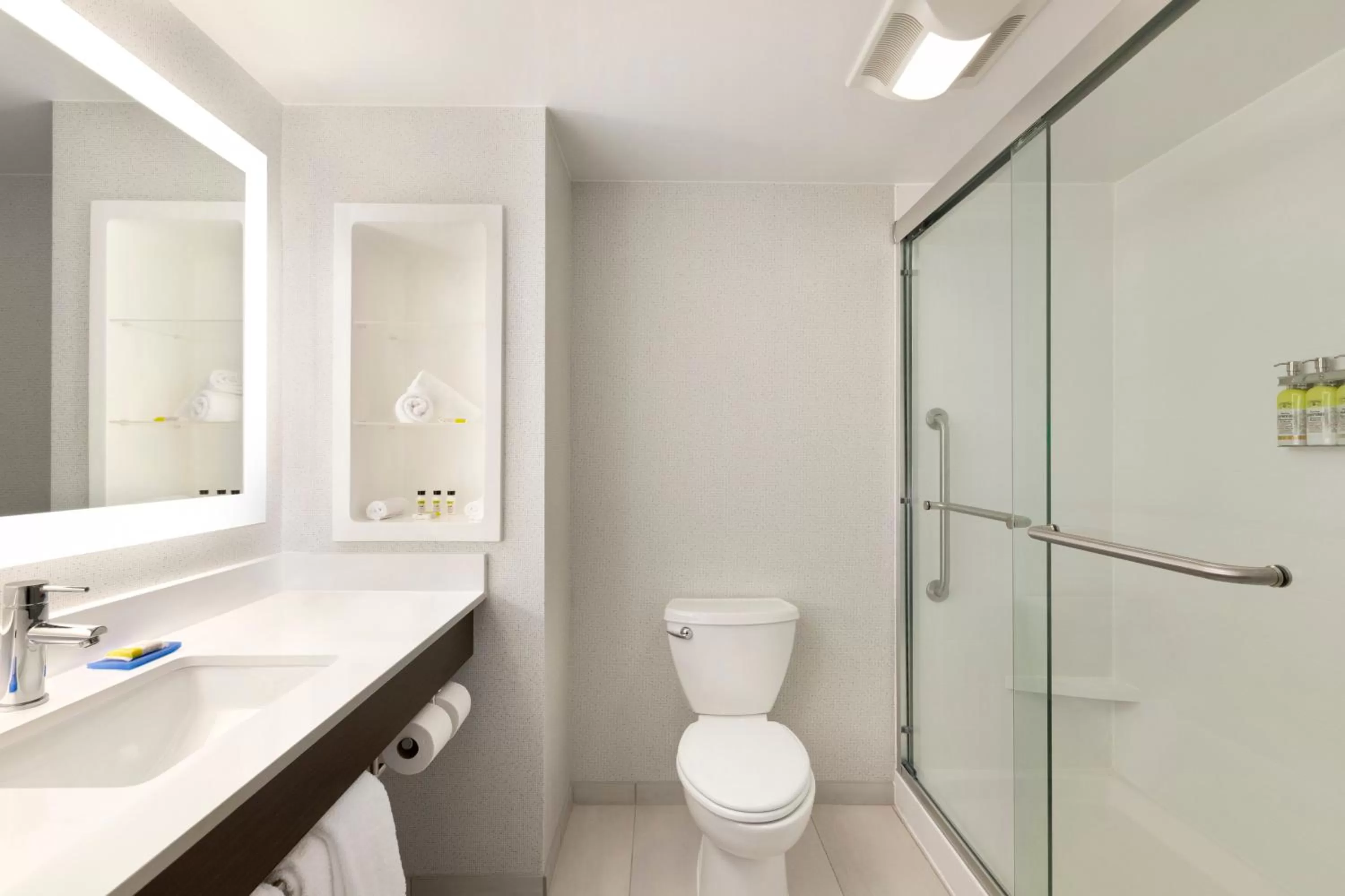 Bathroom in Holiday Inn Express Hotel & Suites Fort Myers East - The Forum by IHG