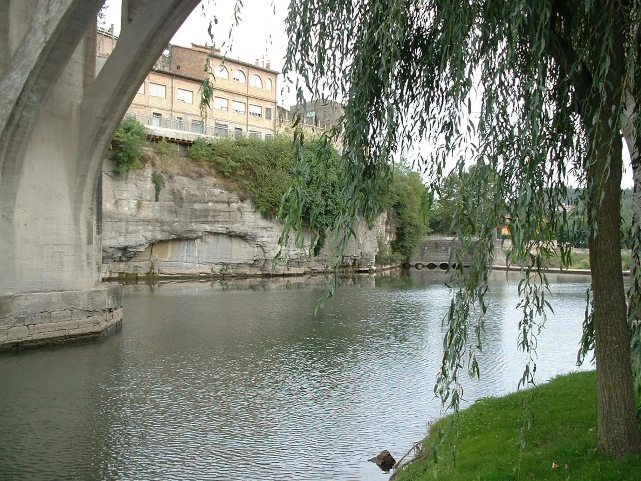 Area and facilities in Hotel Sant Quirze De Besora