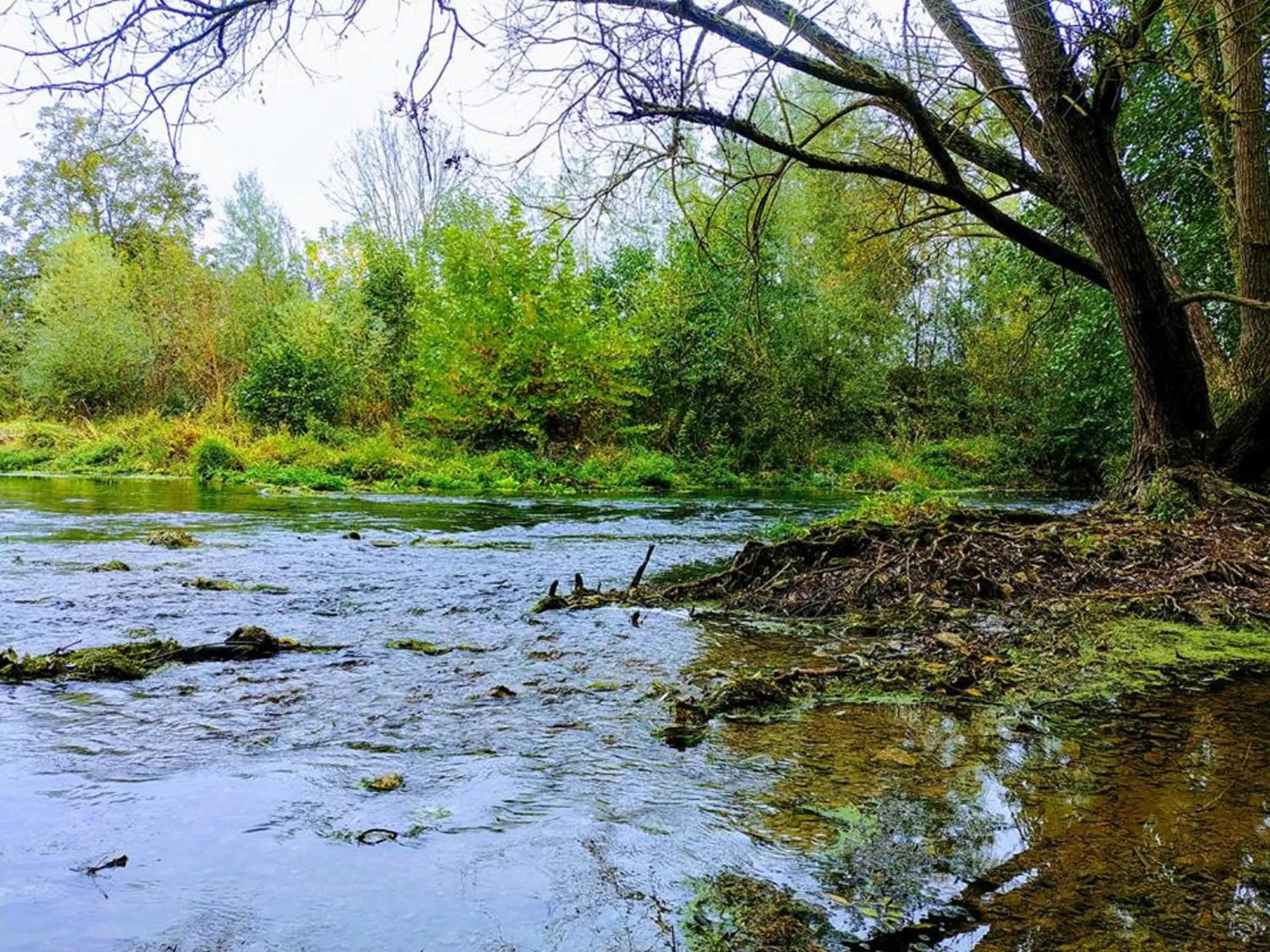 Natural Landscape in Manoir Le Cristal - Futuroscope a petit prix , grandes chambres familiales 5-6 personnes ,
