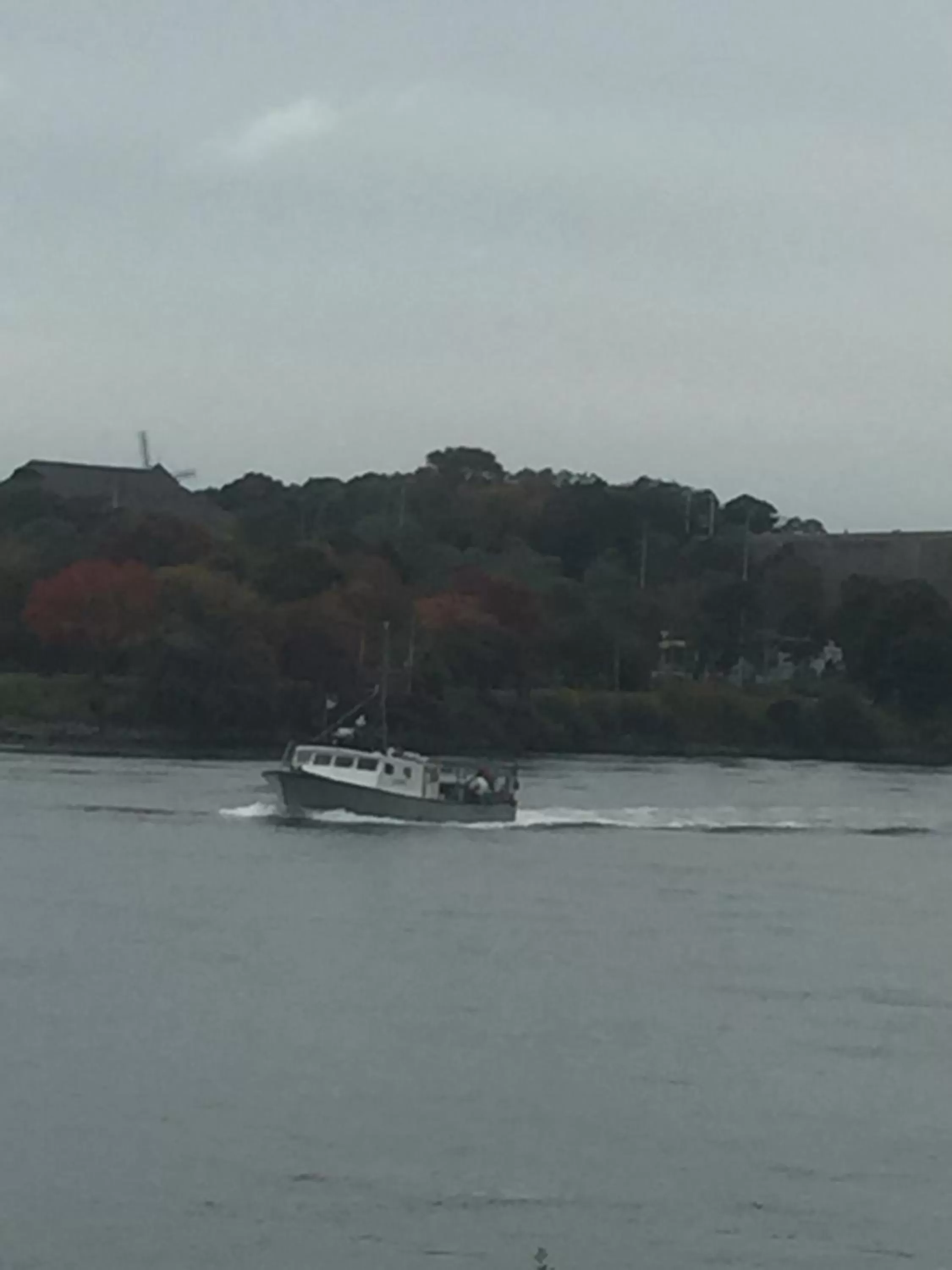 Inn 38 Oak Bluff Circle