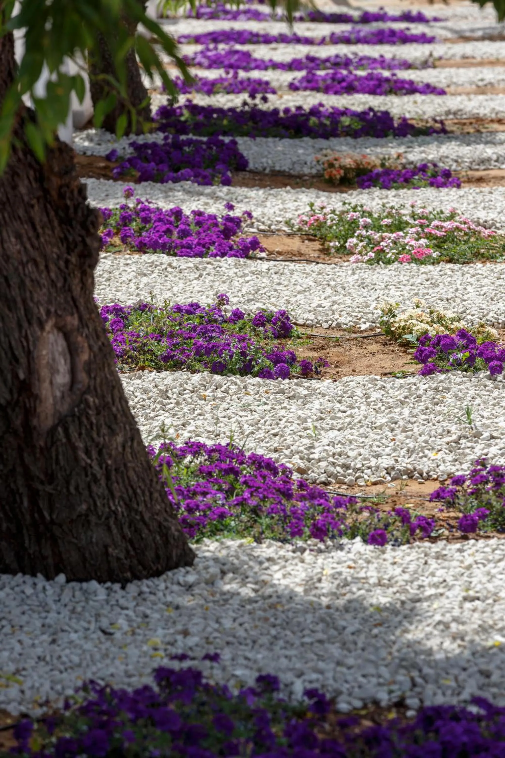 Floor plan in Southeast Hotel
