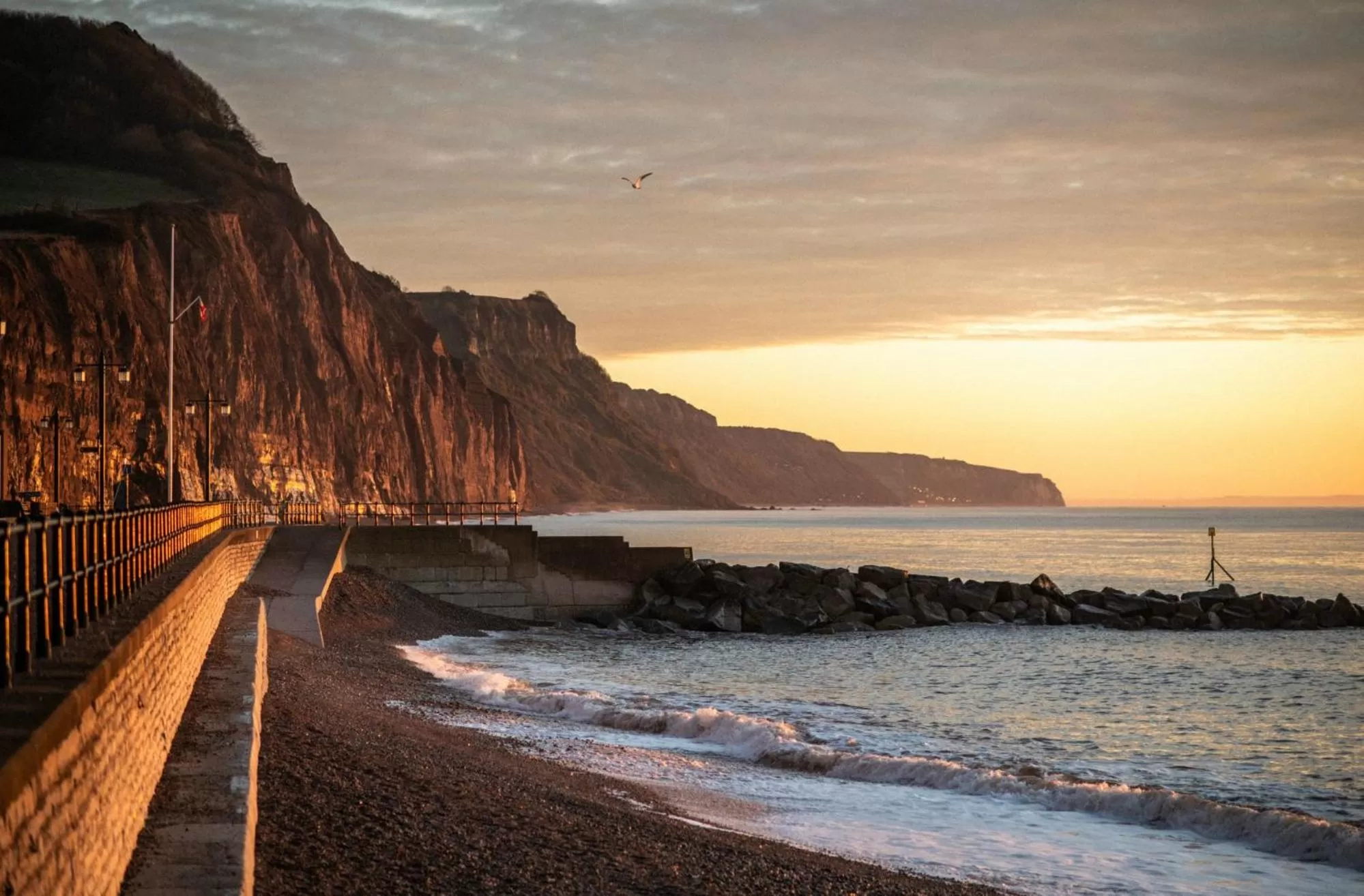 Beach in The Elizabeth