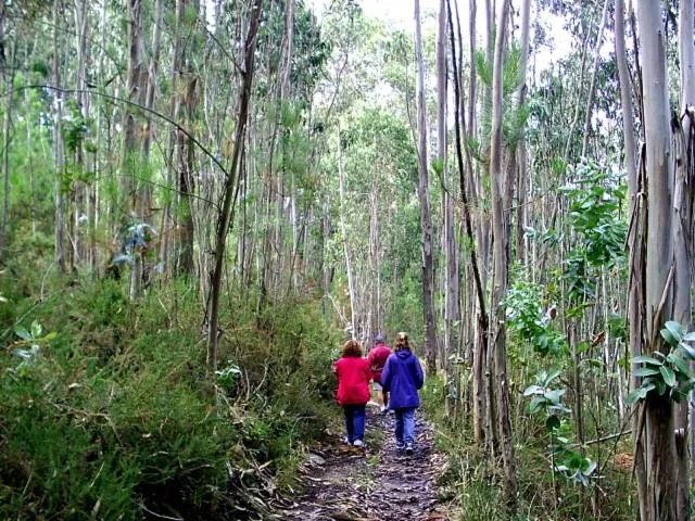 People in Hotel Abeiras