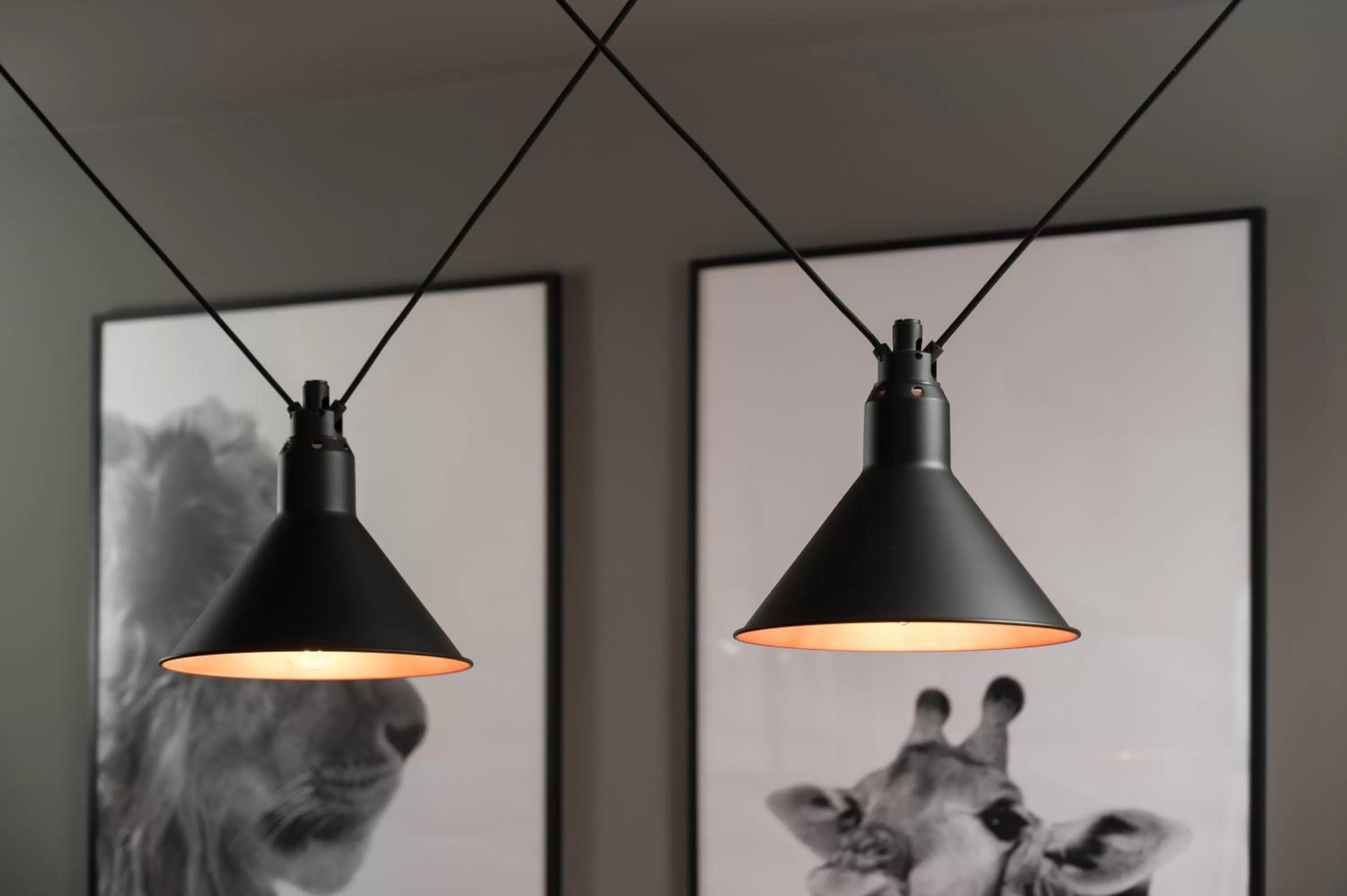 Hiding Space - Trim Street Apartments