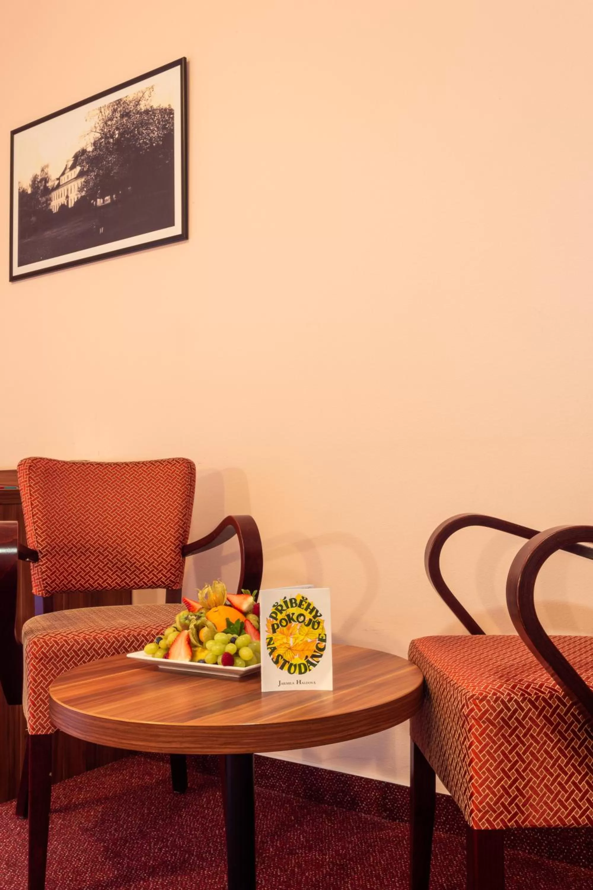 Living room in Hotel Studanka