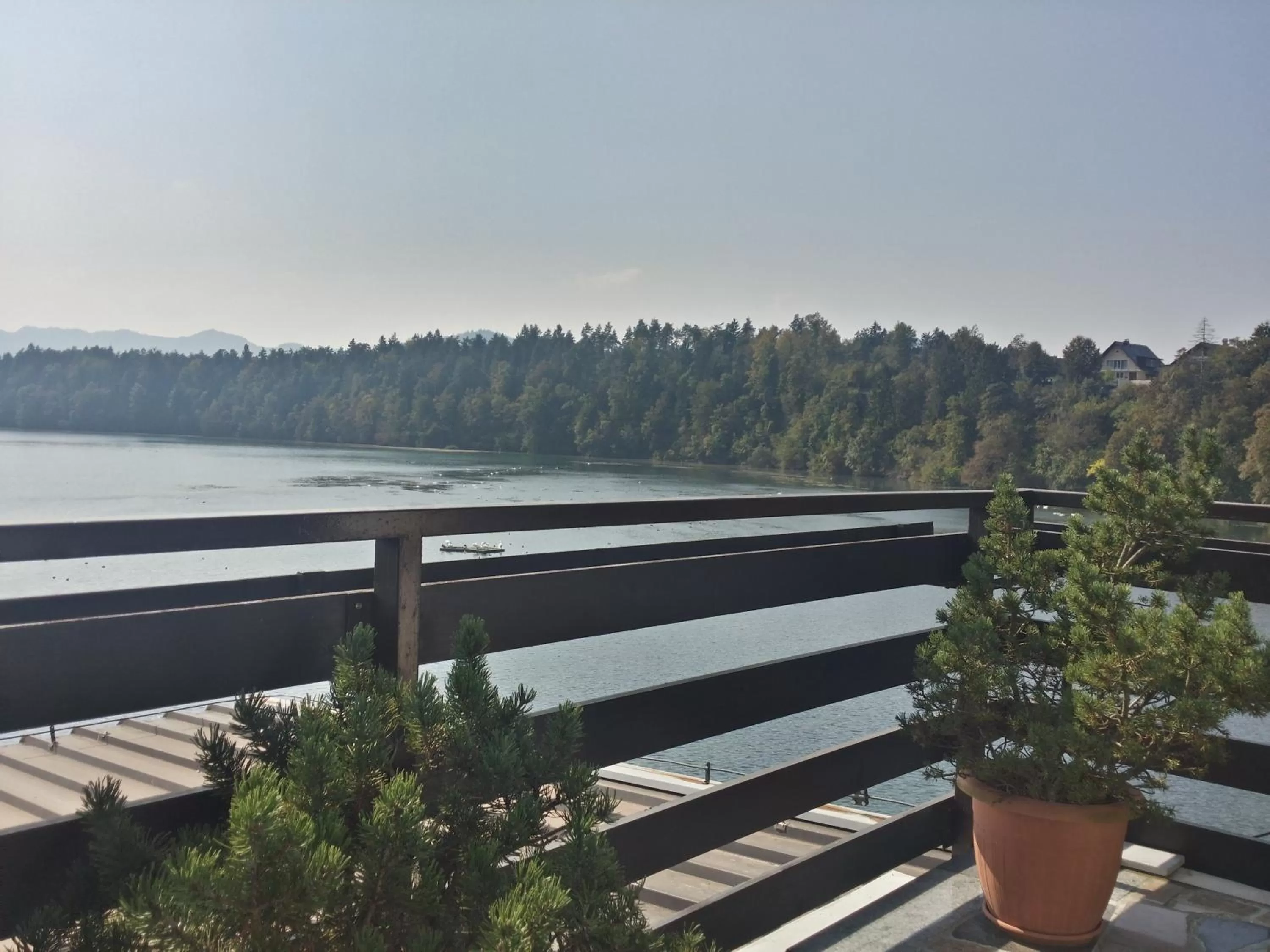 Balcony/Terrace in Gostisce Jezero