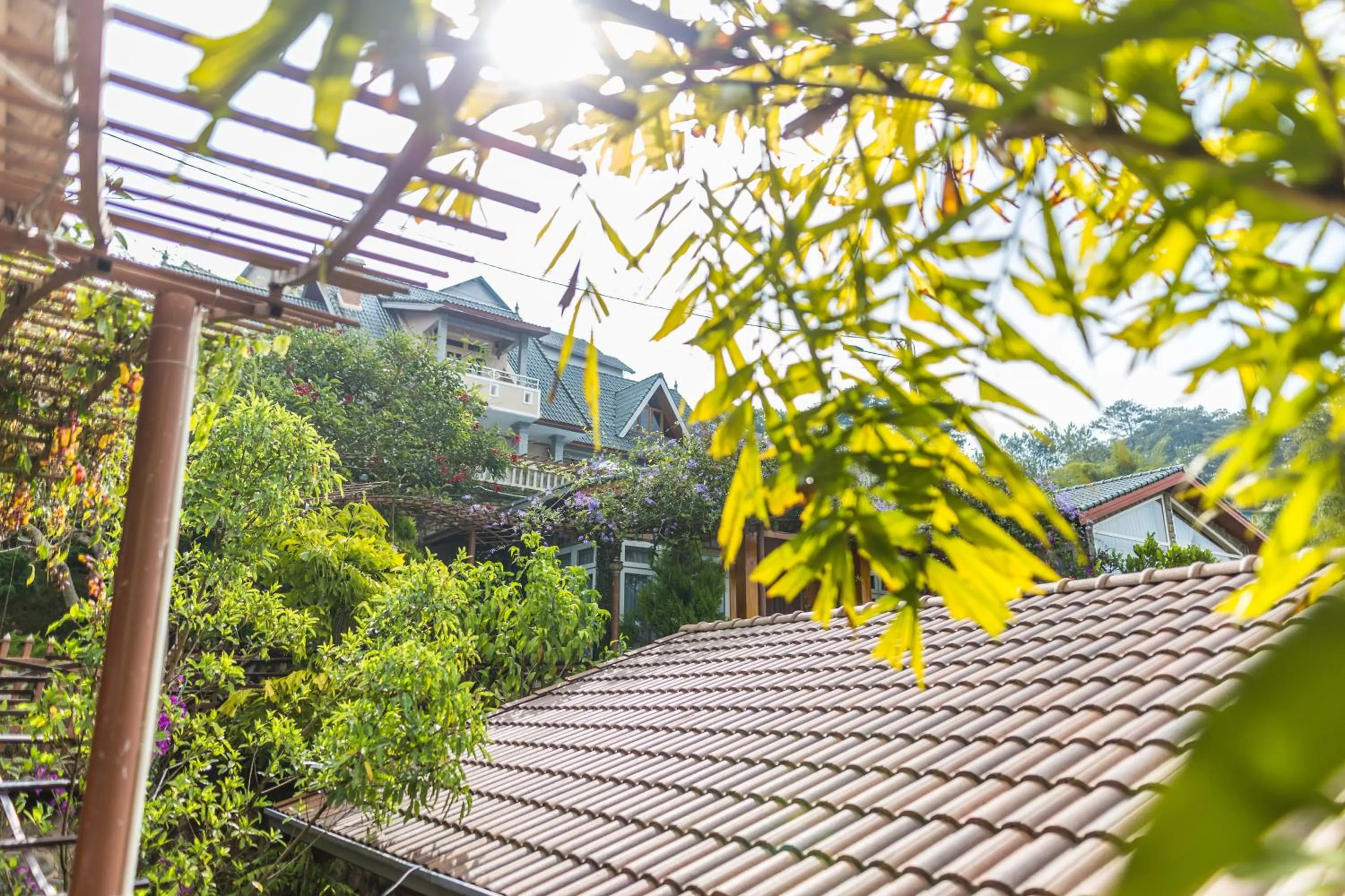 Natural landscape in Zen Valley Dalat