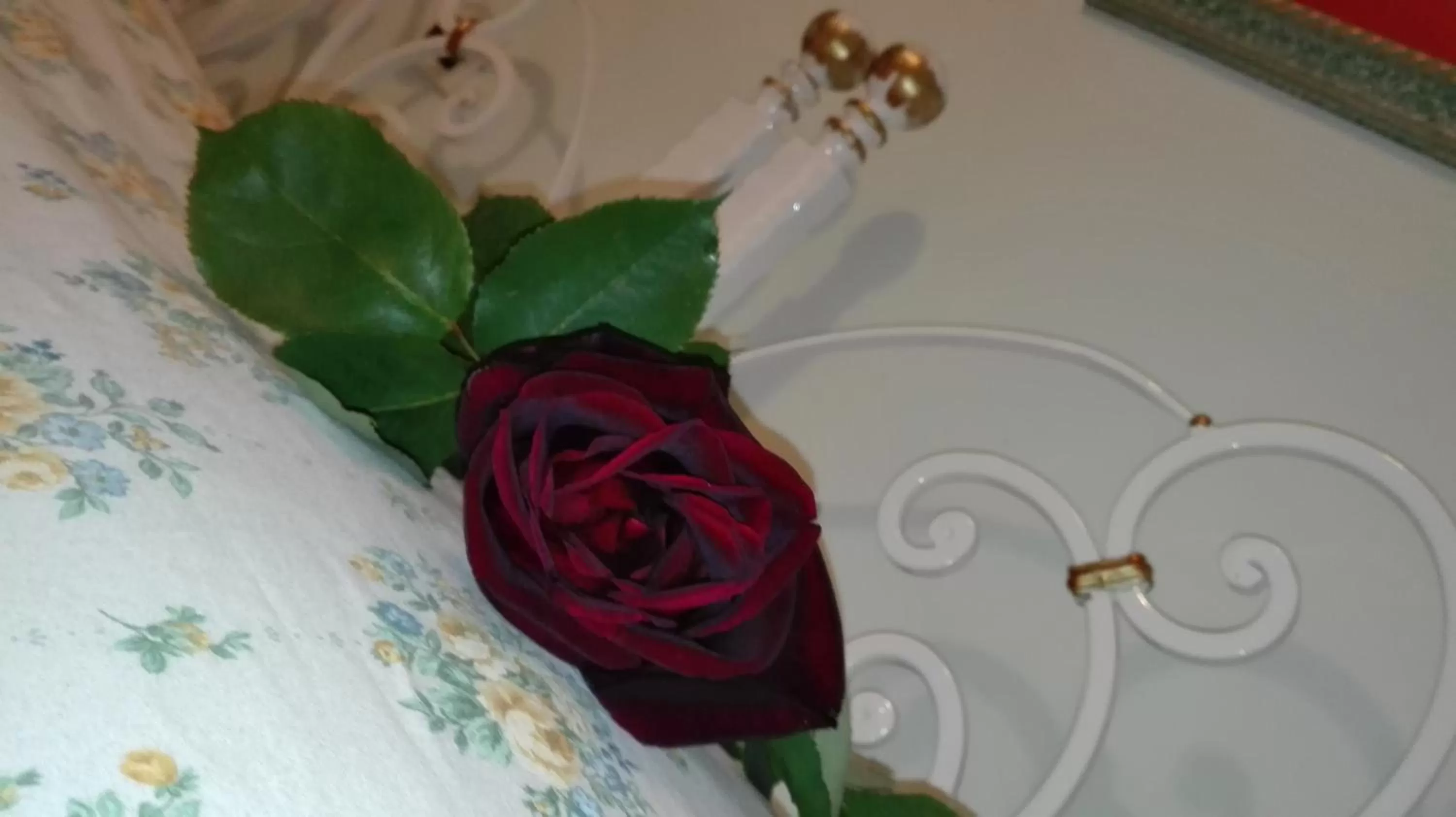 Decorative detail in Villa Scalabrini