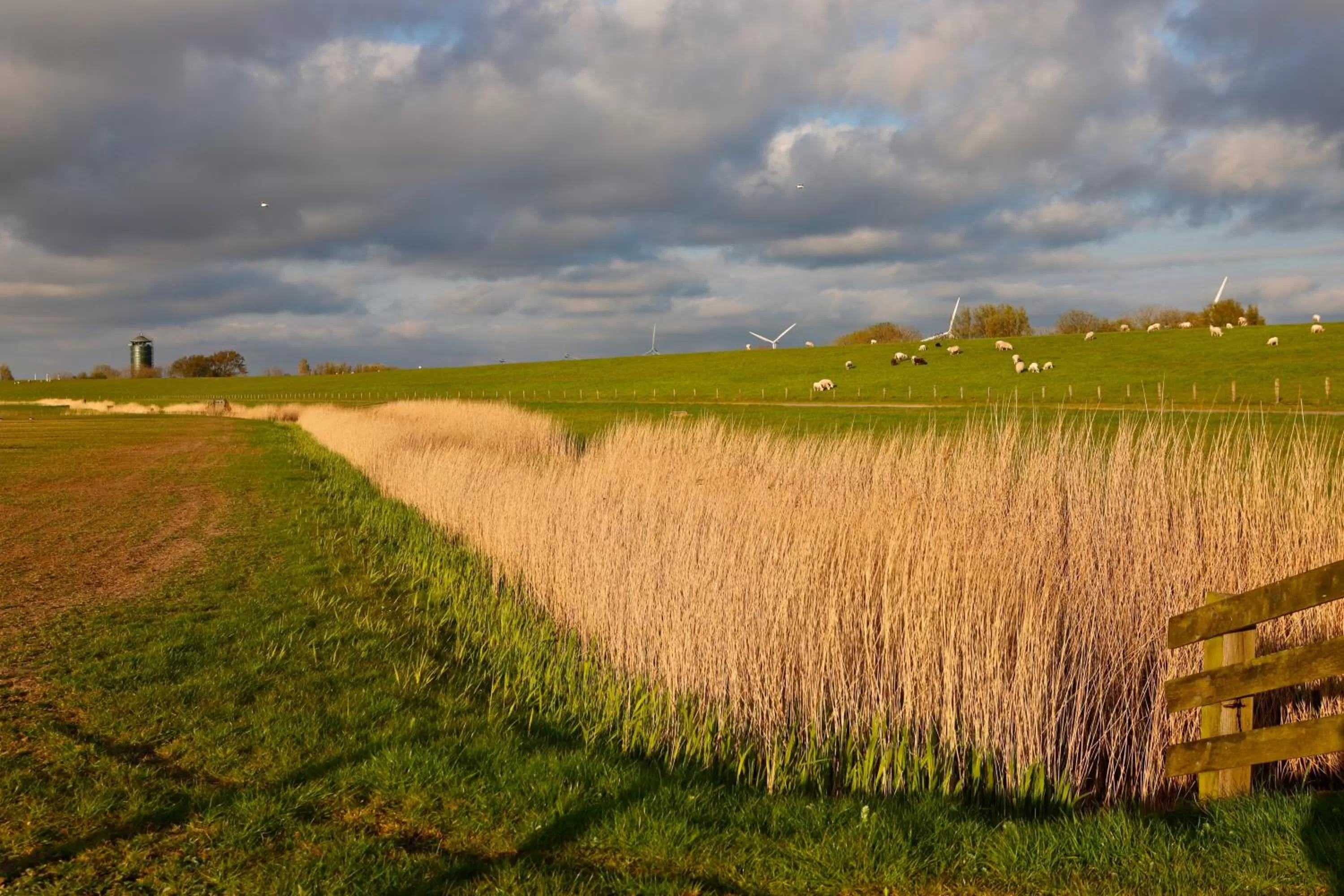 Natural landscape in B & B Marrum Hotel Marrum