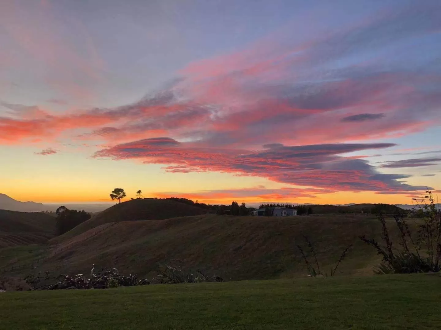 Sunrise in Hilltop Whakaipo Estate
