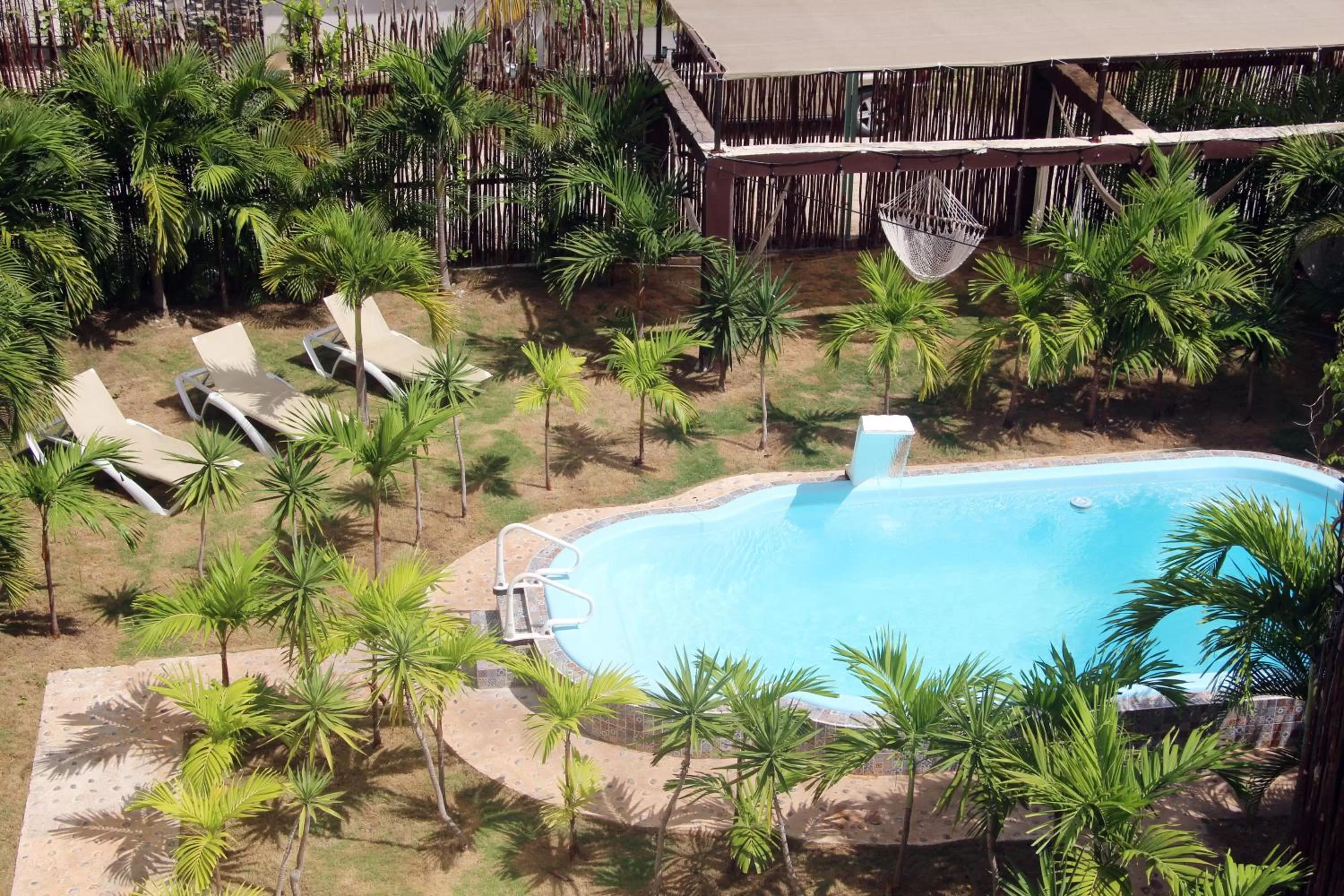 Garden, Swimming Pool in Hotel & Hostal Casa de Luz Cancun