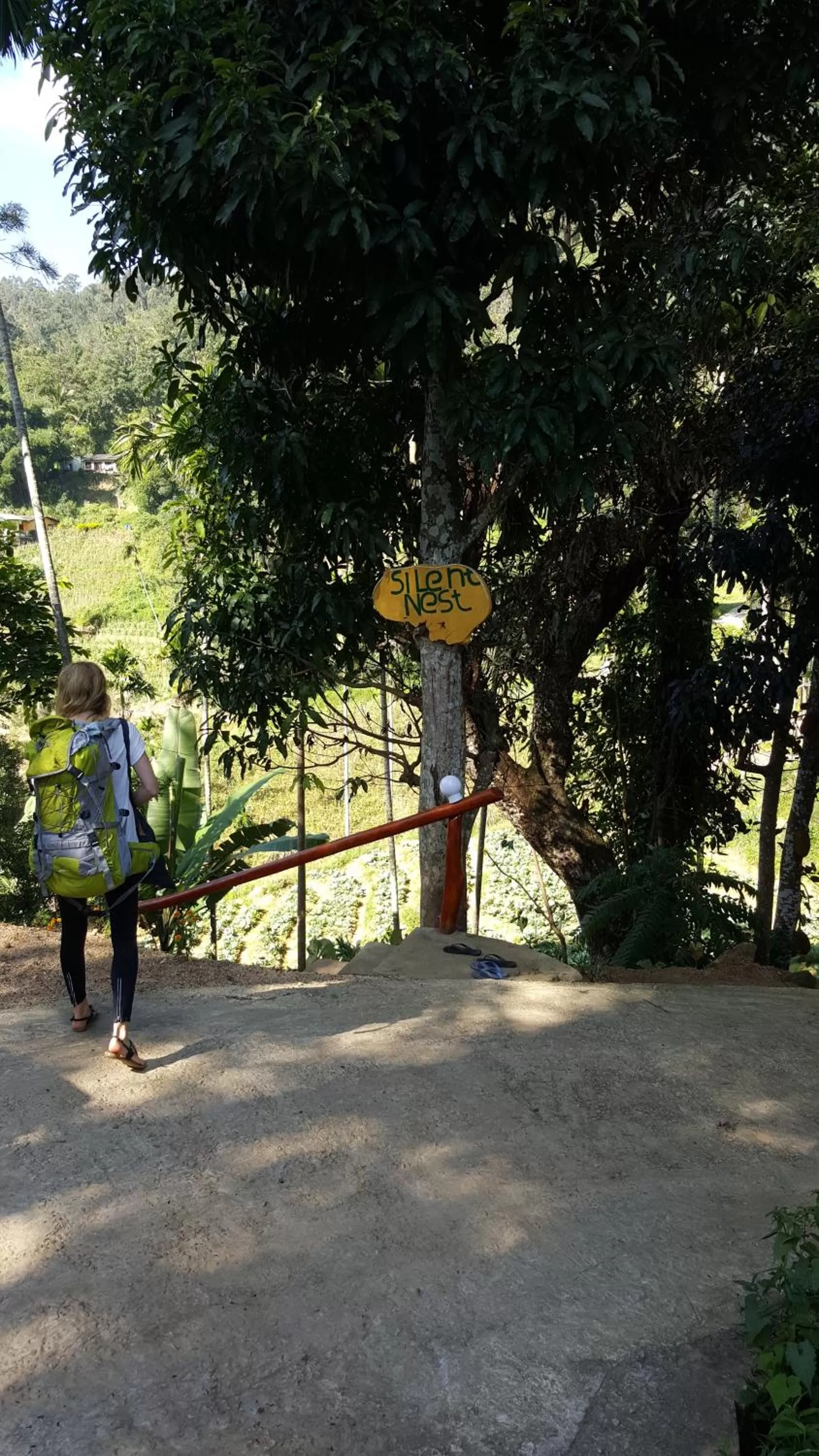 Facade/entrance in Silent Nest