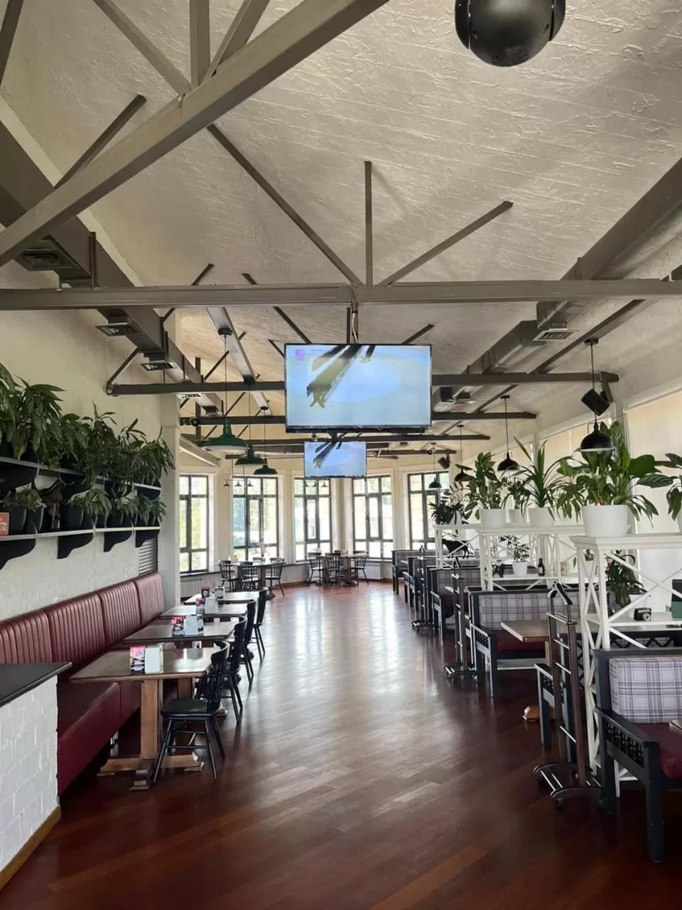 Restaurant/places to eat in Alma