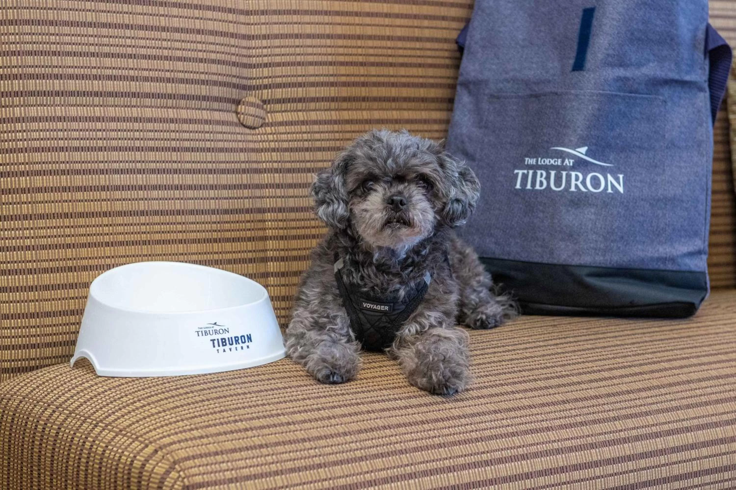 Pets in The Lodge at Tiburon