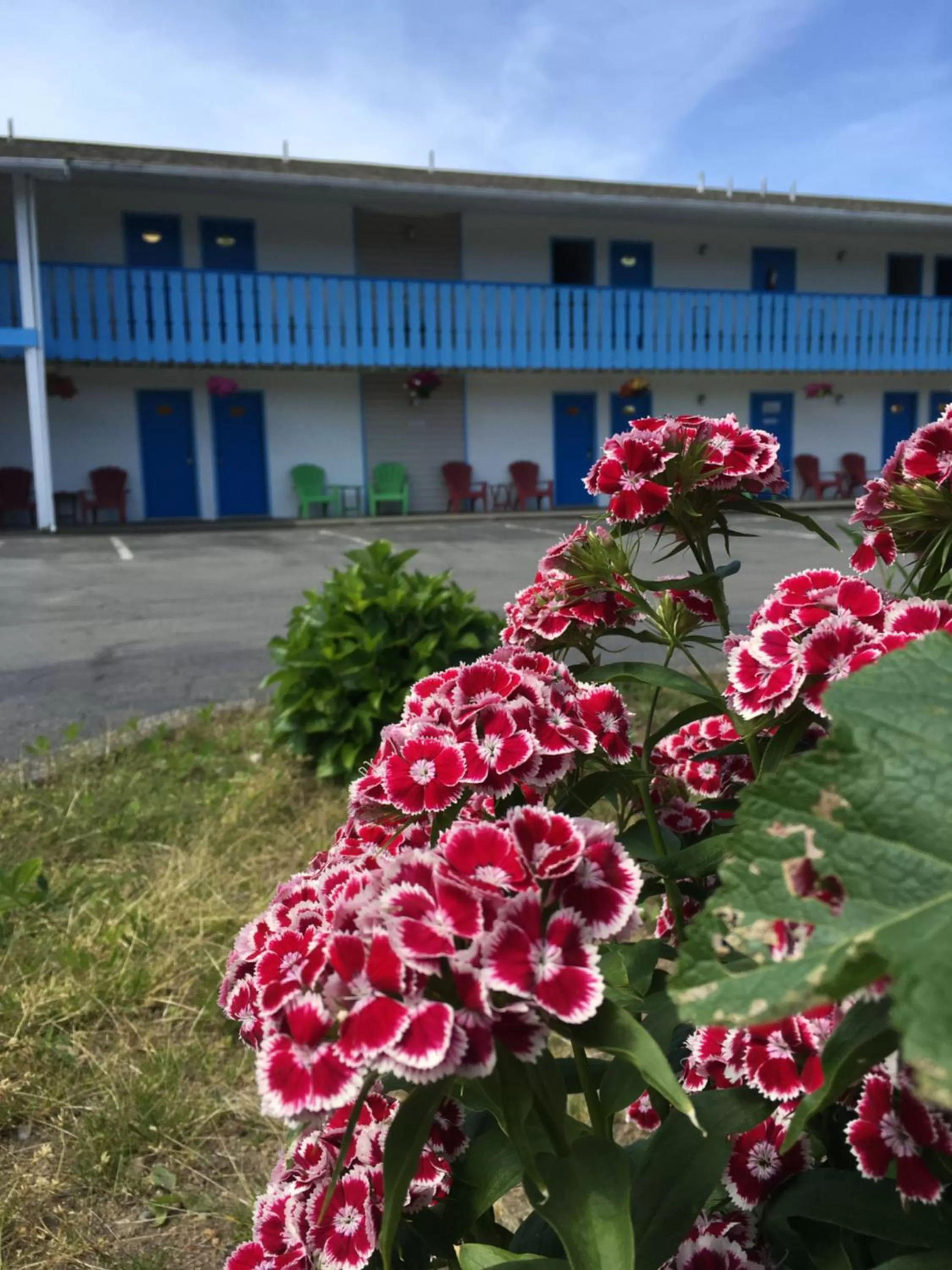 Garden in Fuller Lake Chemainus Motel