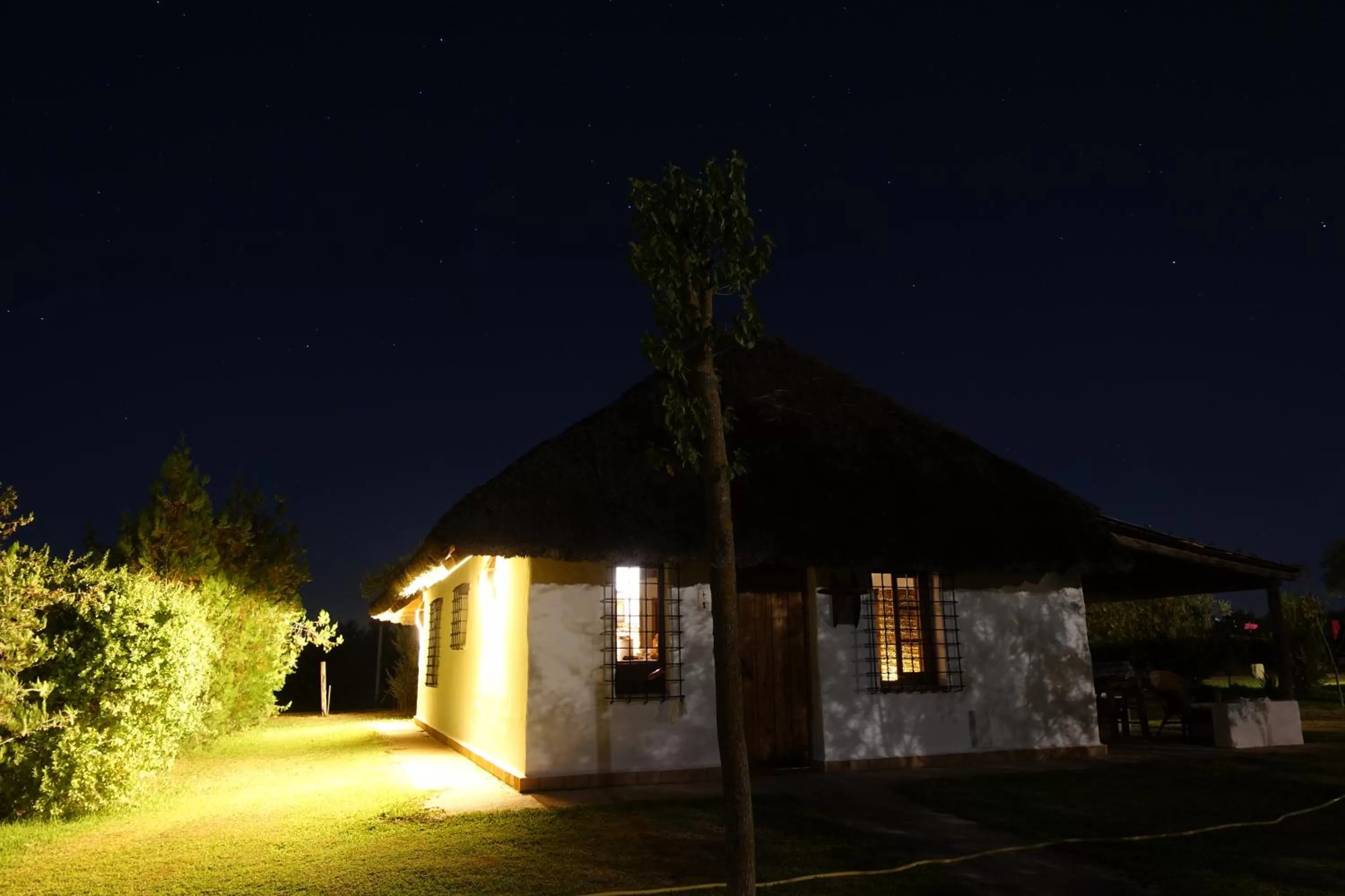 Night in Ardea Purpurea