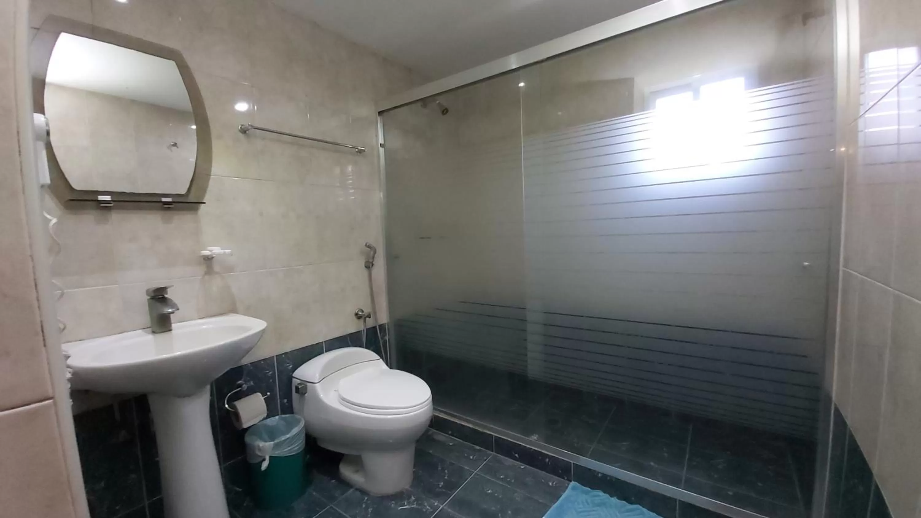 Toilet in HOTEL MUEVETE POR VARGAS