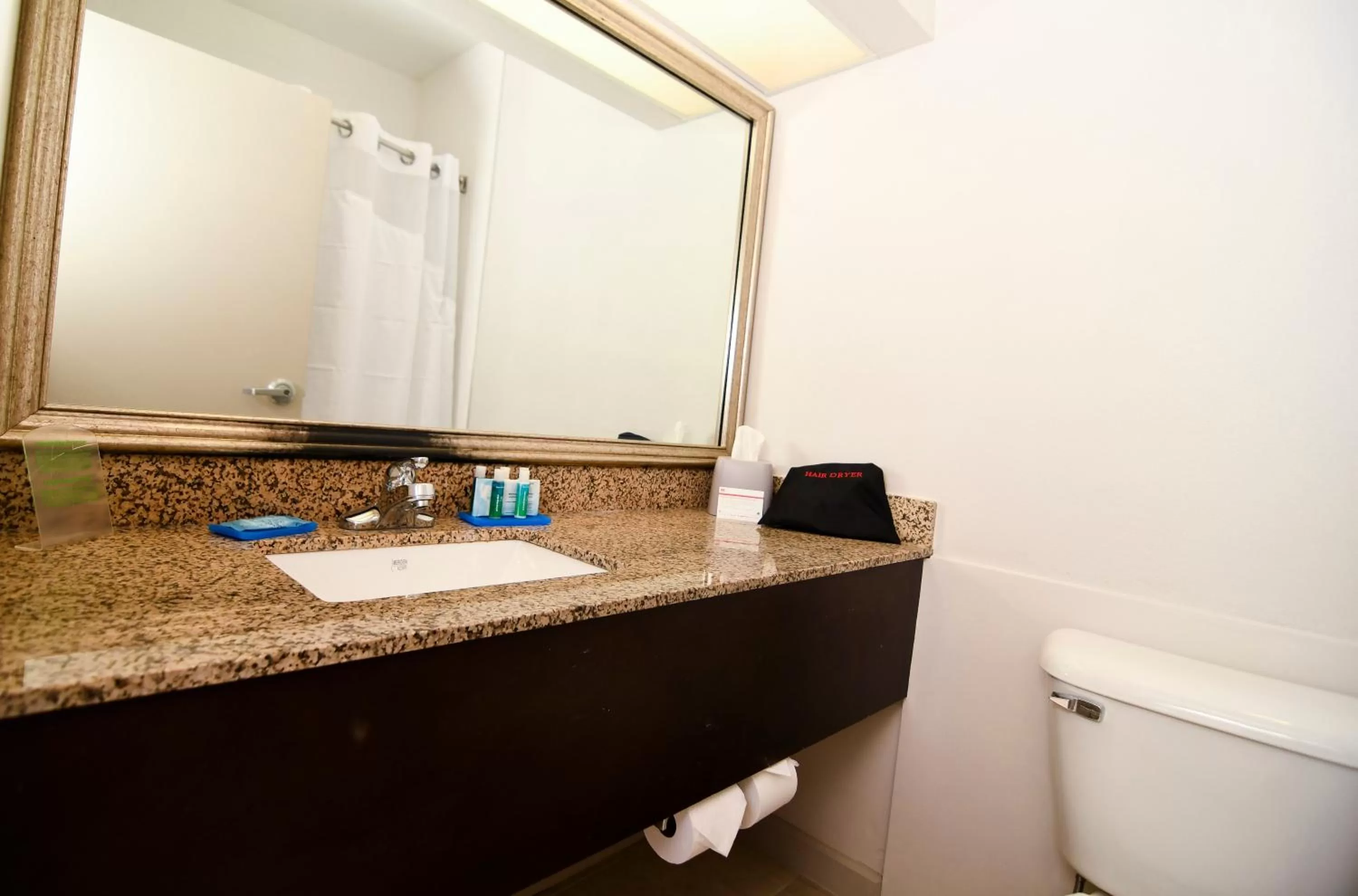 Bathroom in Holiday Inn Express Hotel & Suites Port Clinton-Catawba Island by IHG