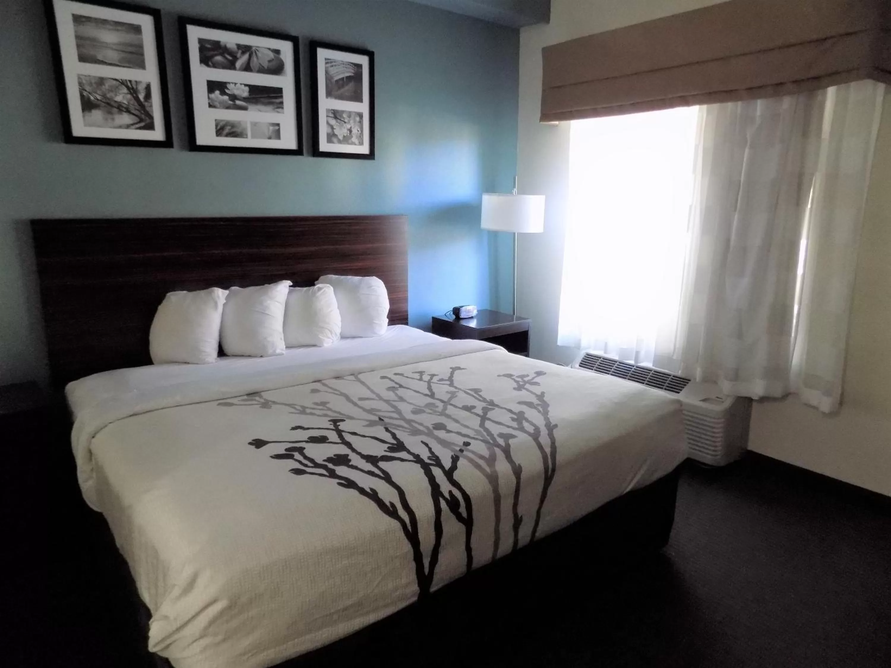 King Suite - Non-Smoking in Sleep Inn and Conference Center