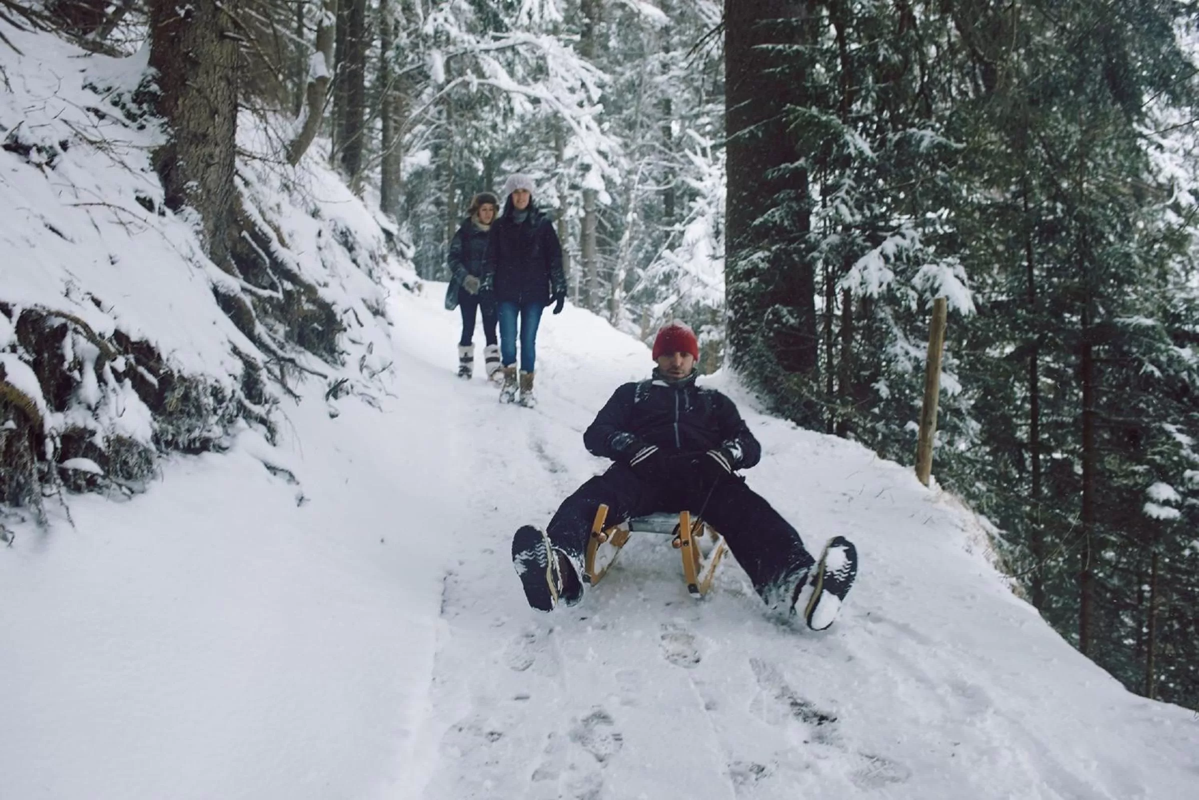 Activities in The Cambrian