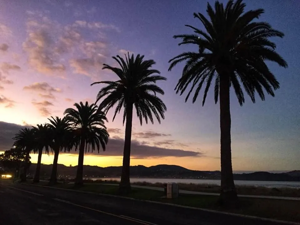 Beach in Albert Number 6