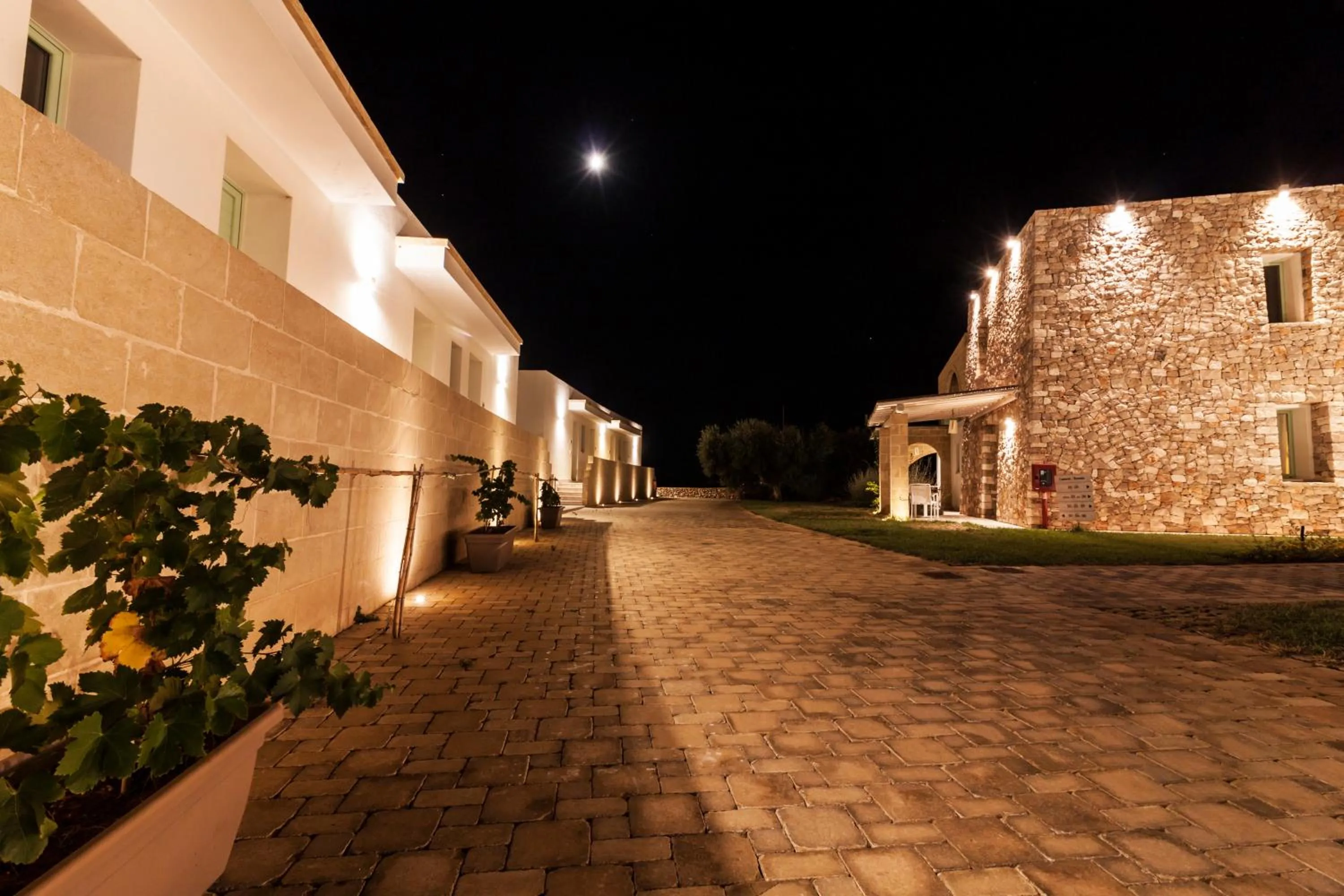 View (from property/room) in Montiro' Hotel