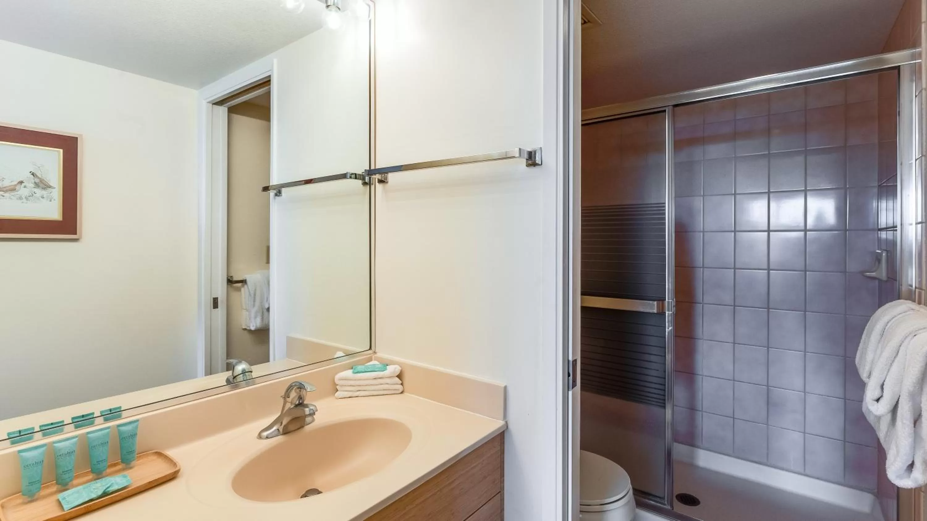 Bathroom in Castle Maui Banyan