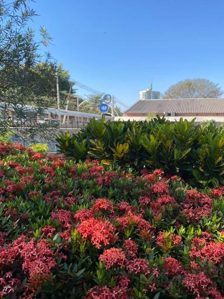 SPAZZIO DI ROMA INCLUSO ACQUA PARK SPLASH