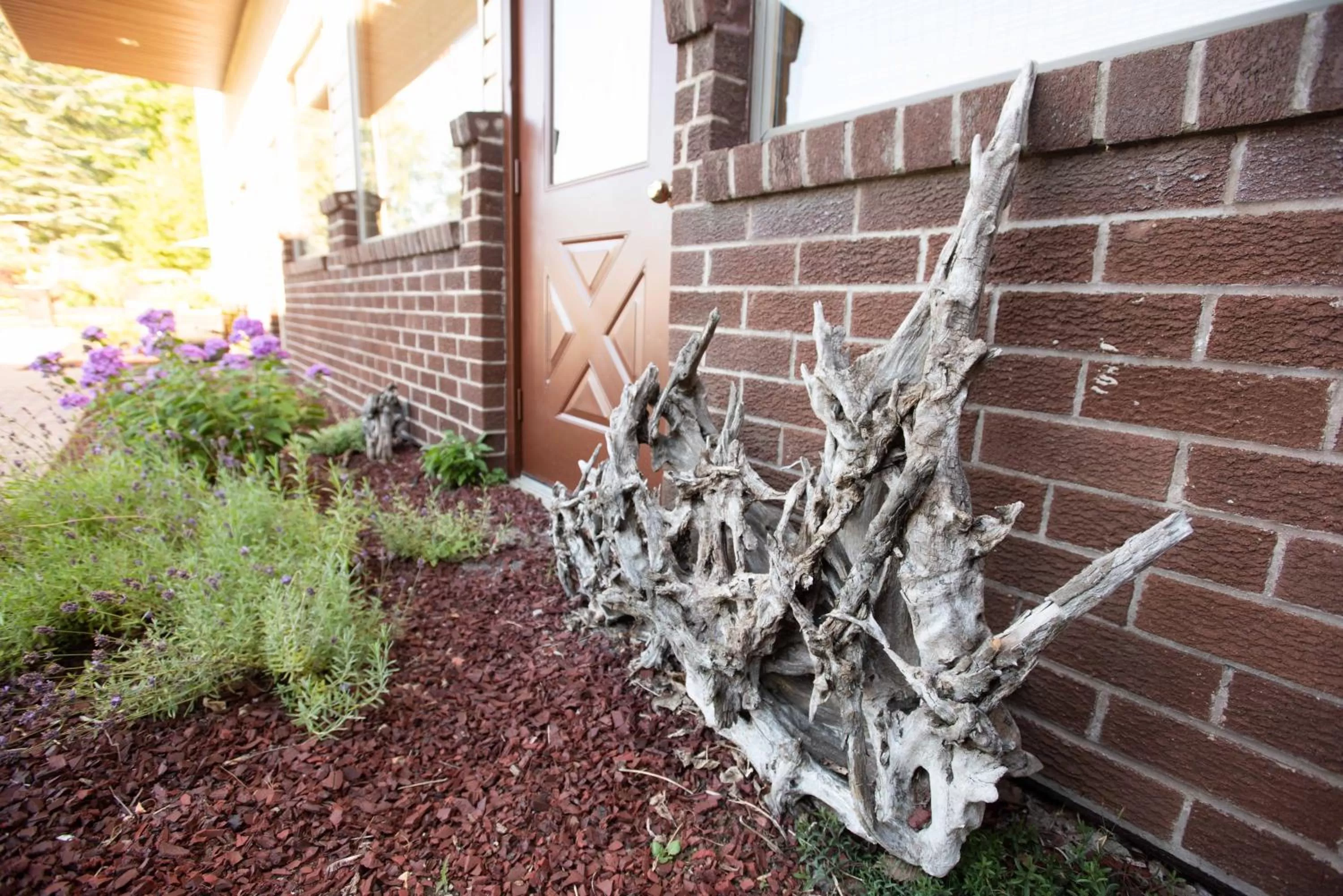 Property building in Blue Spruce Motel