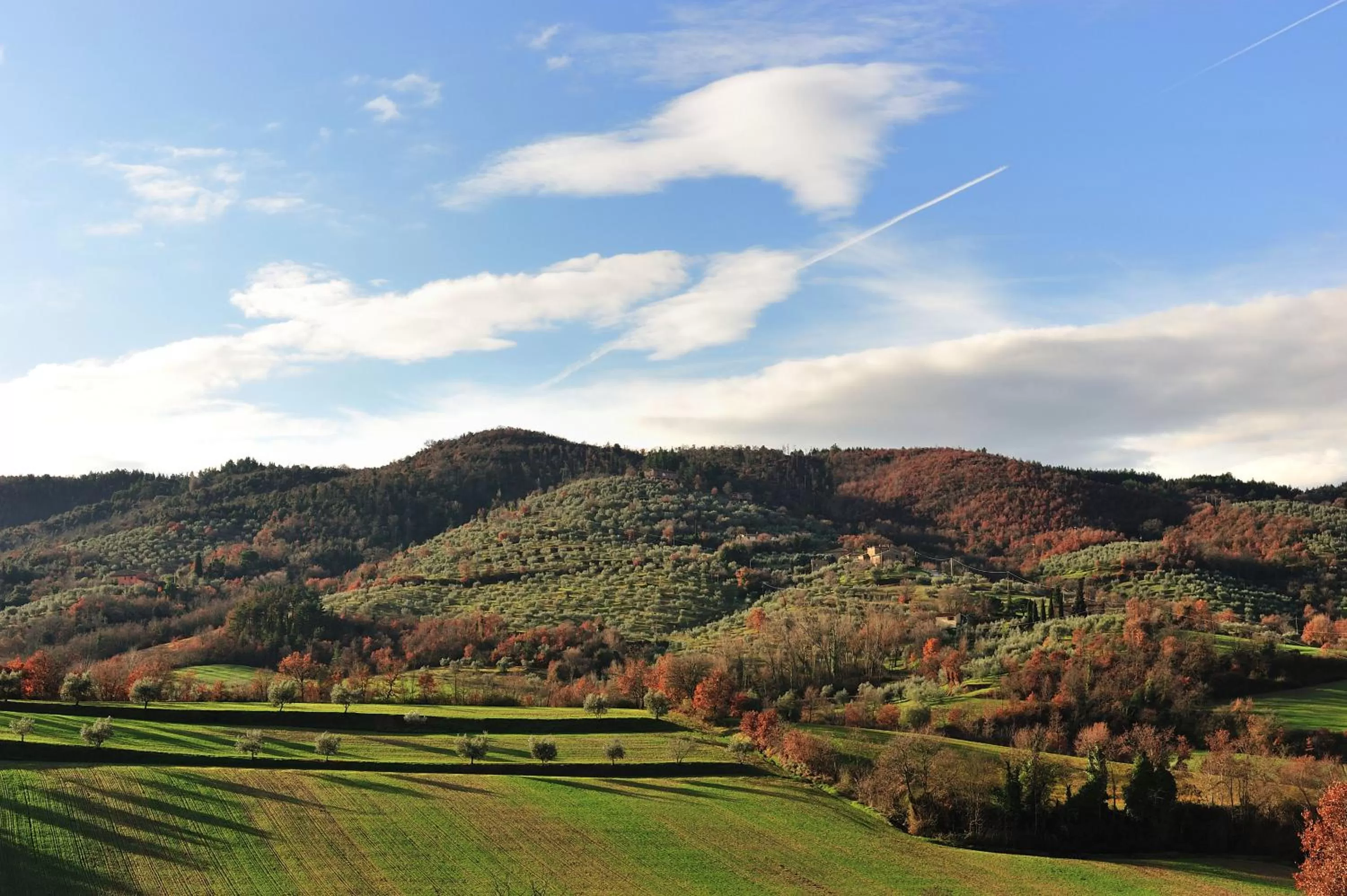 Area and facilities in Tenuta Badia '99