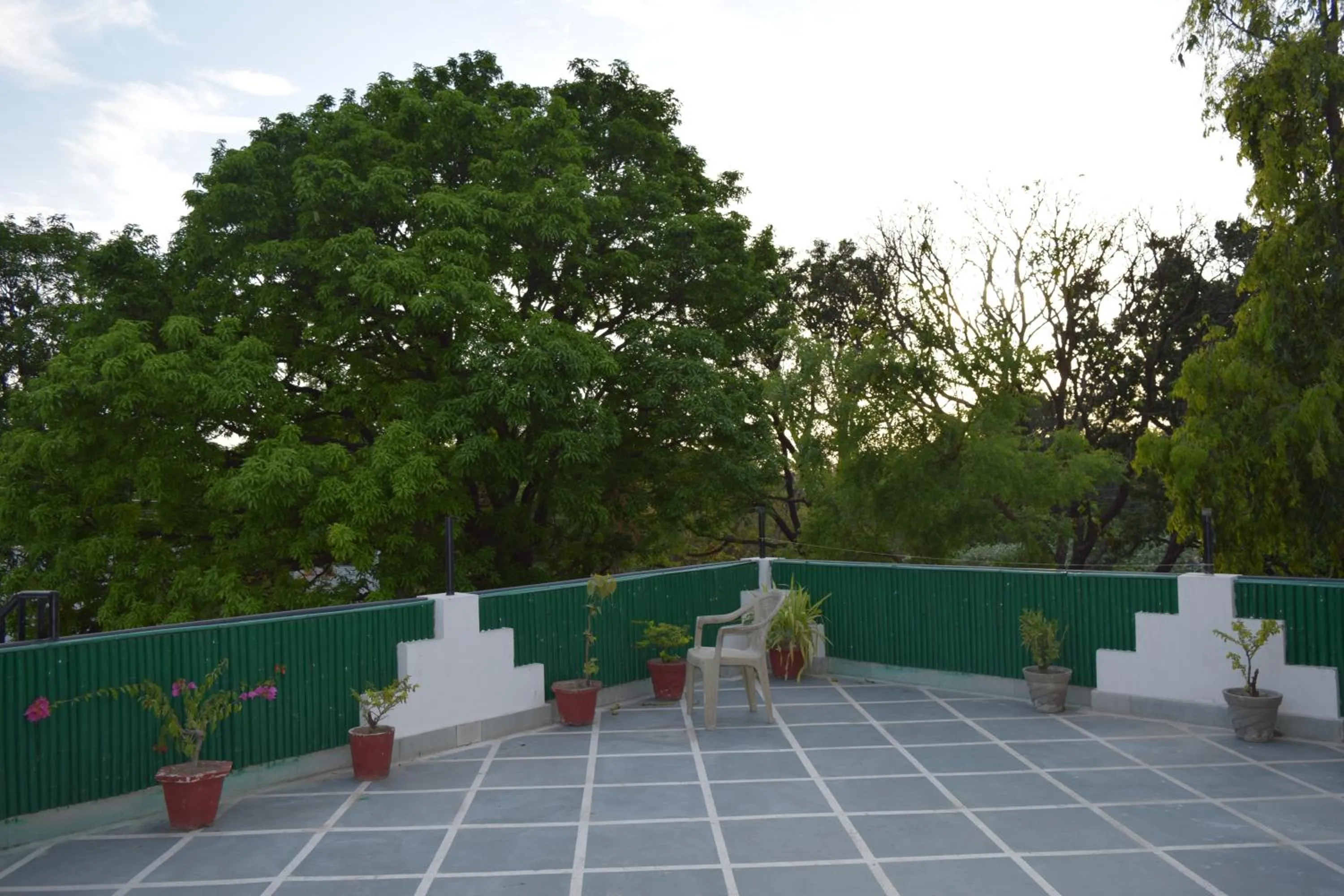 Summer in Hotel Moksha