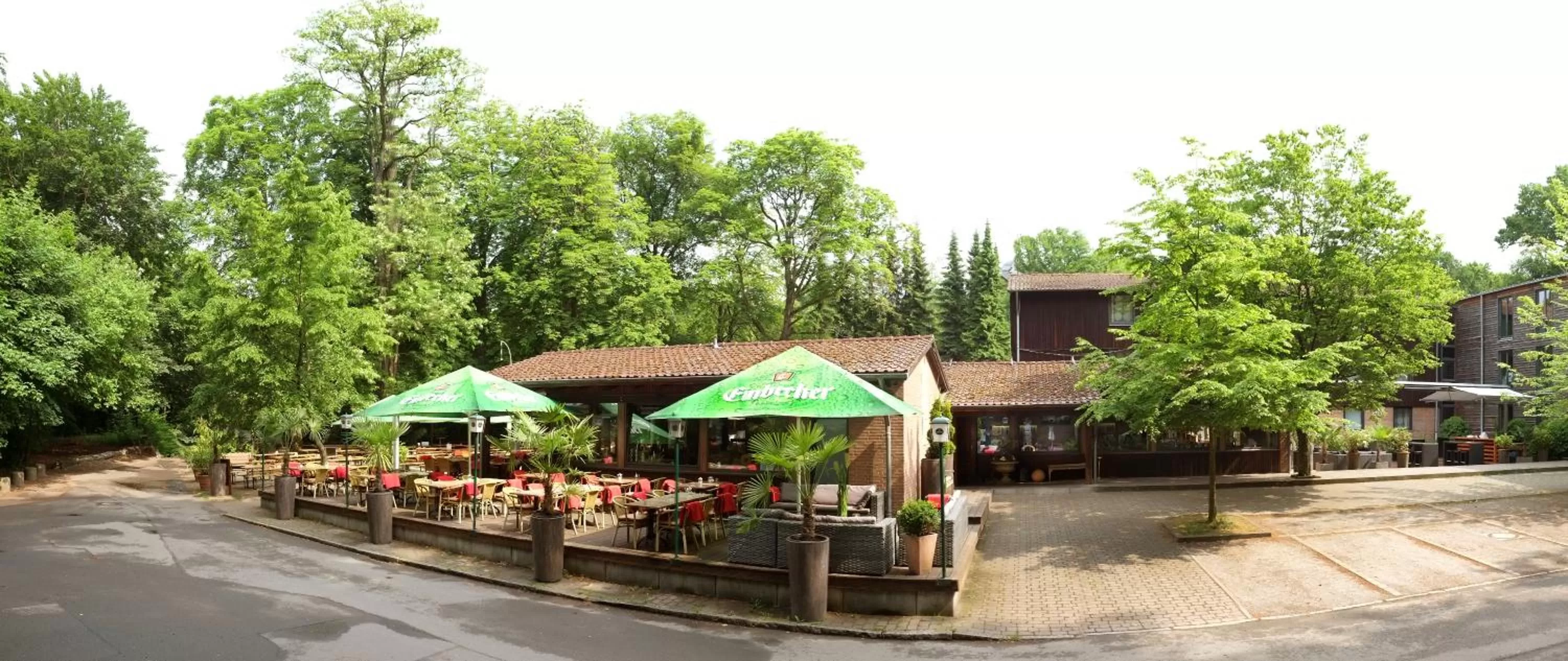 Property building in Bischofshol