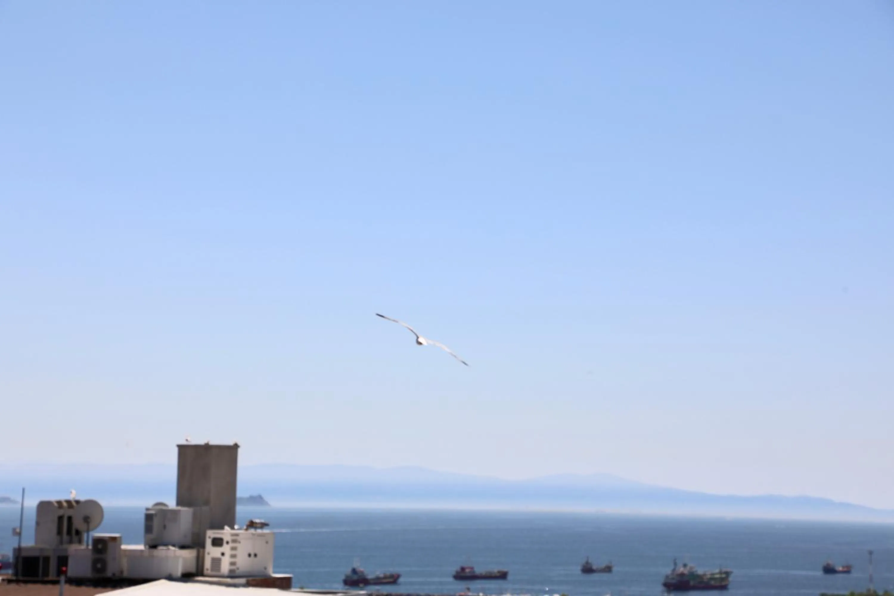 Day in Istanbul Royal Hotel