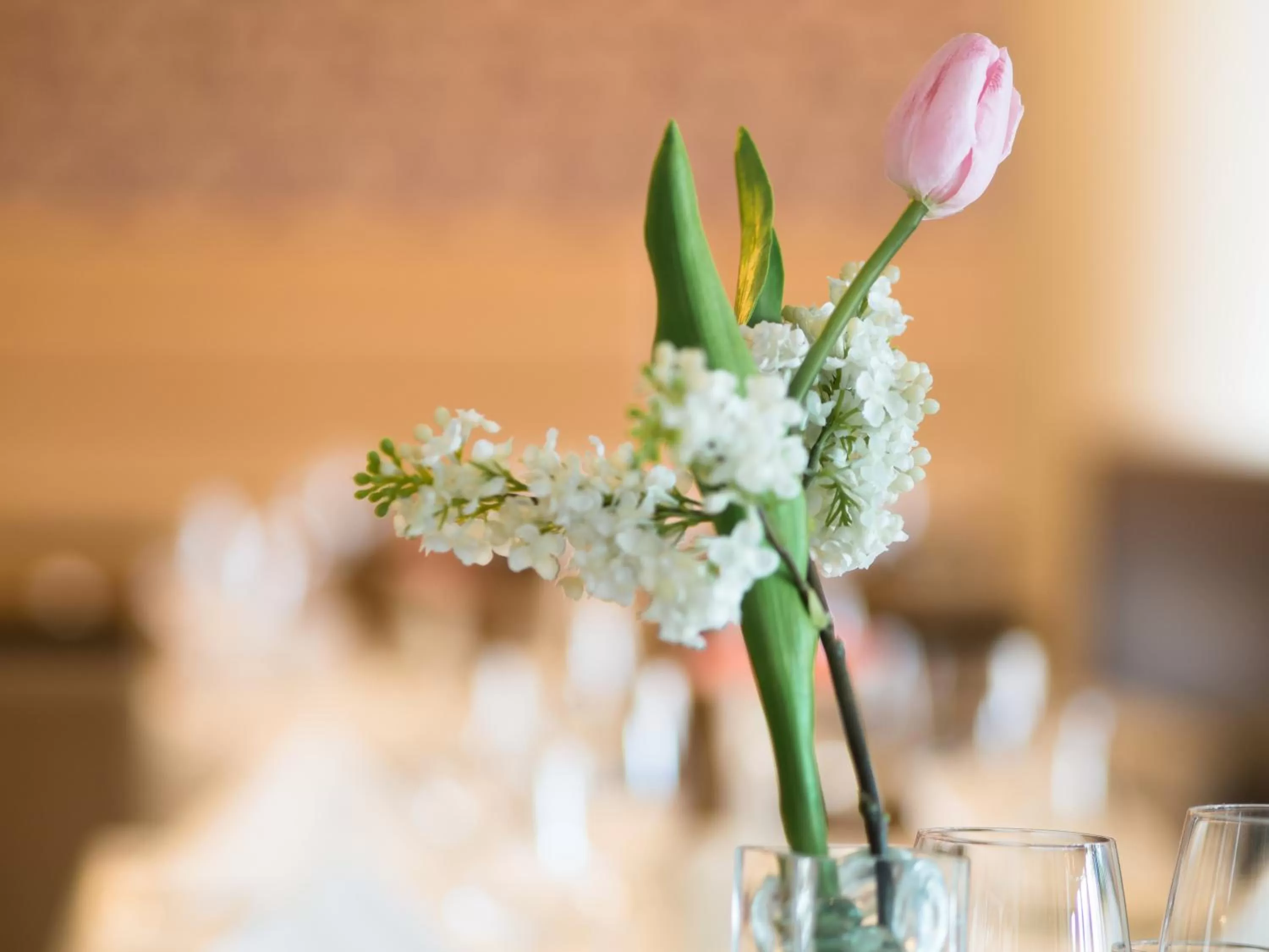 Restaurant/places to eat in Hotel an der Oper