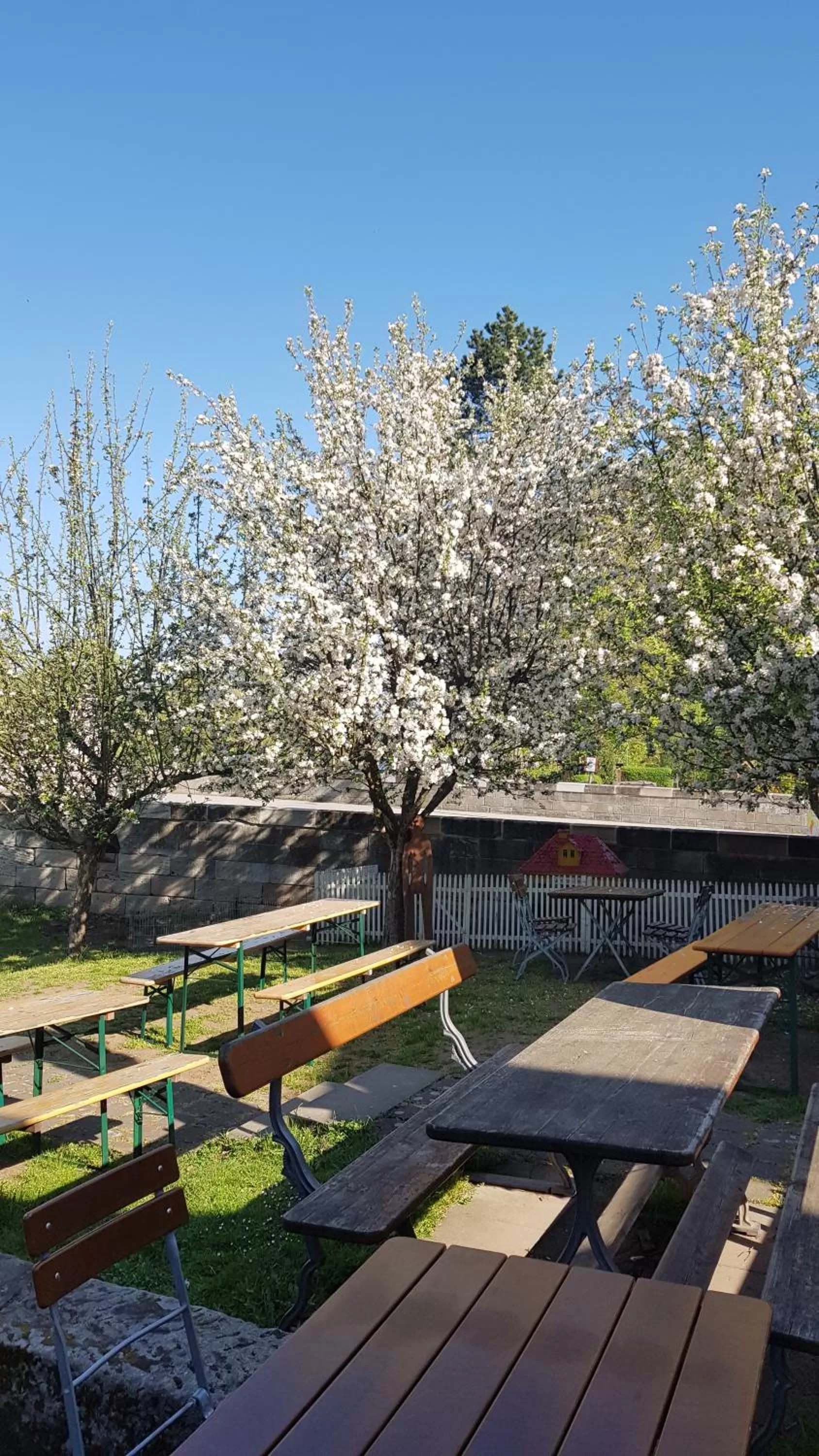 Balcony/Terrace in Hotel und Gasthof Ritter St. Georg